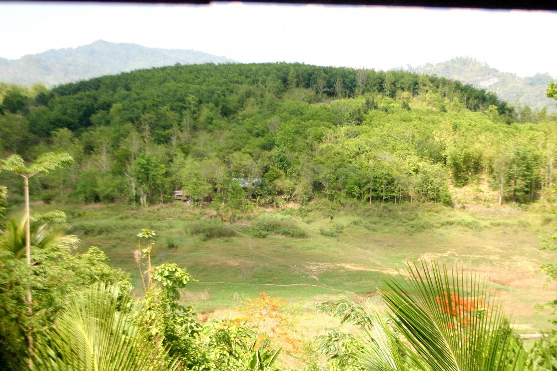 Family Room with Mountain View photo 3