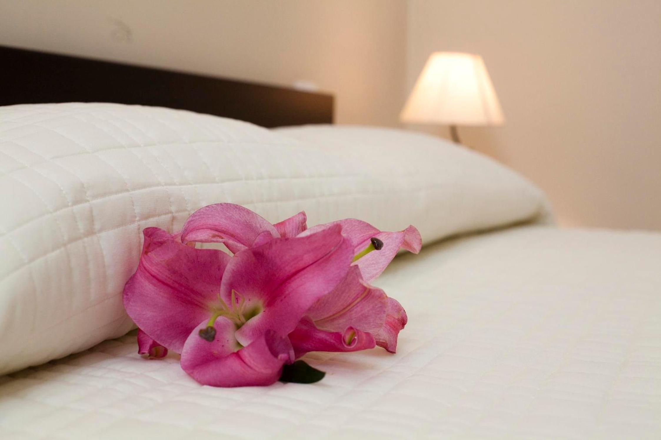 Superior Double Room - Photo 14