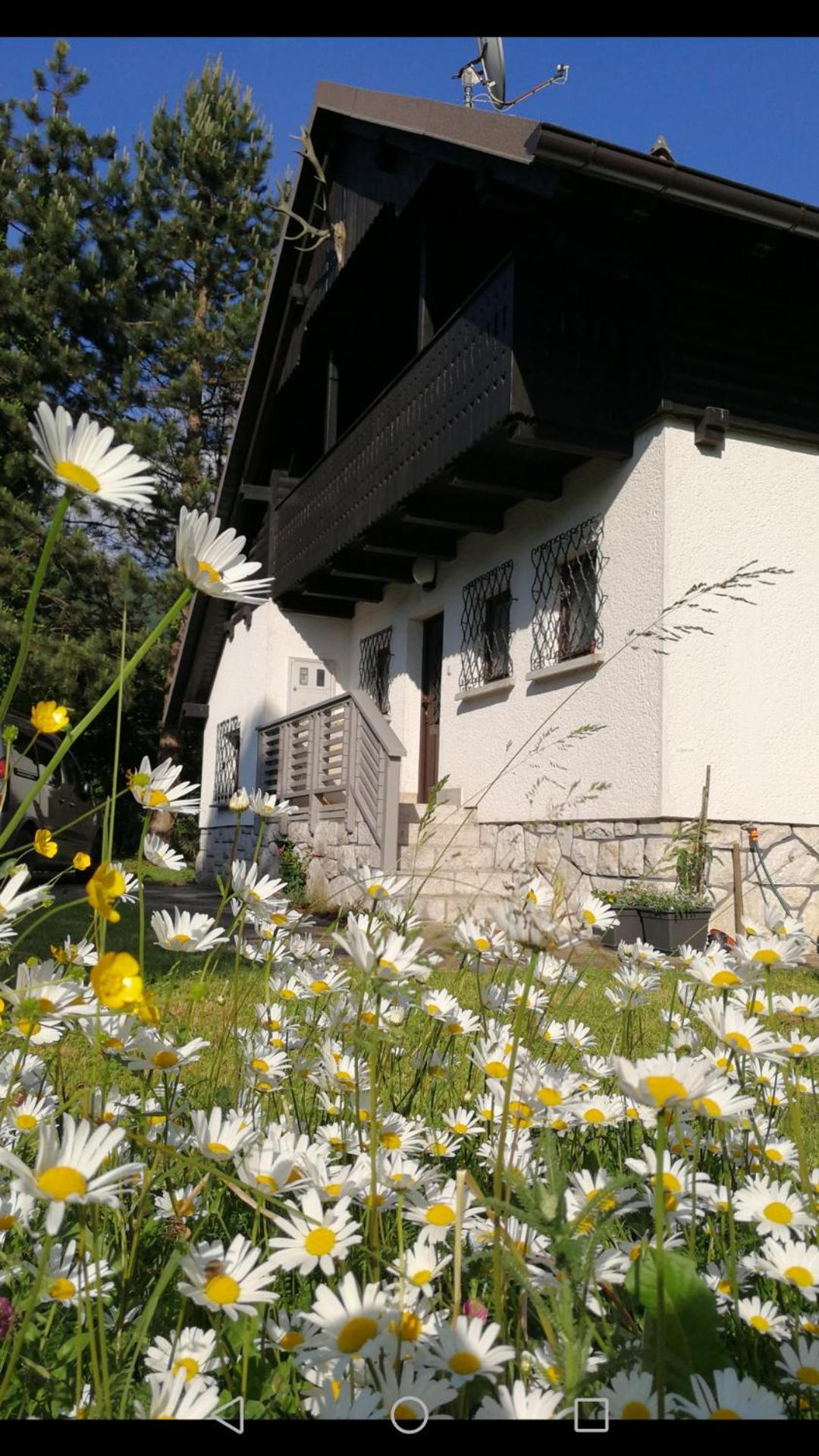Vacation Home photo 1