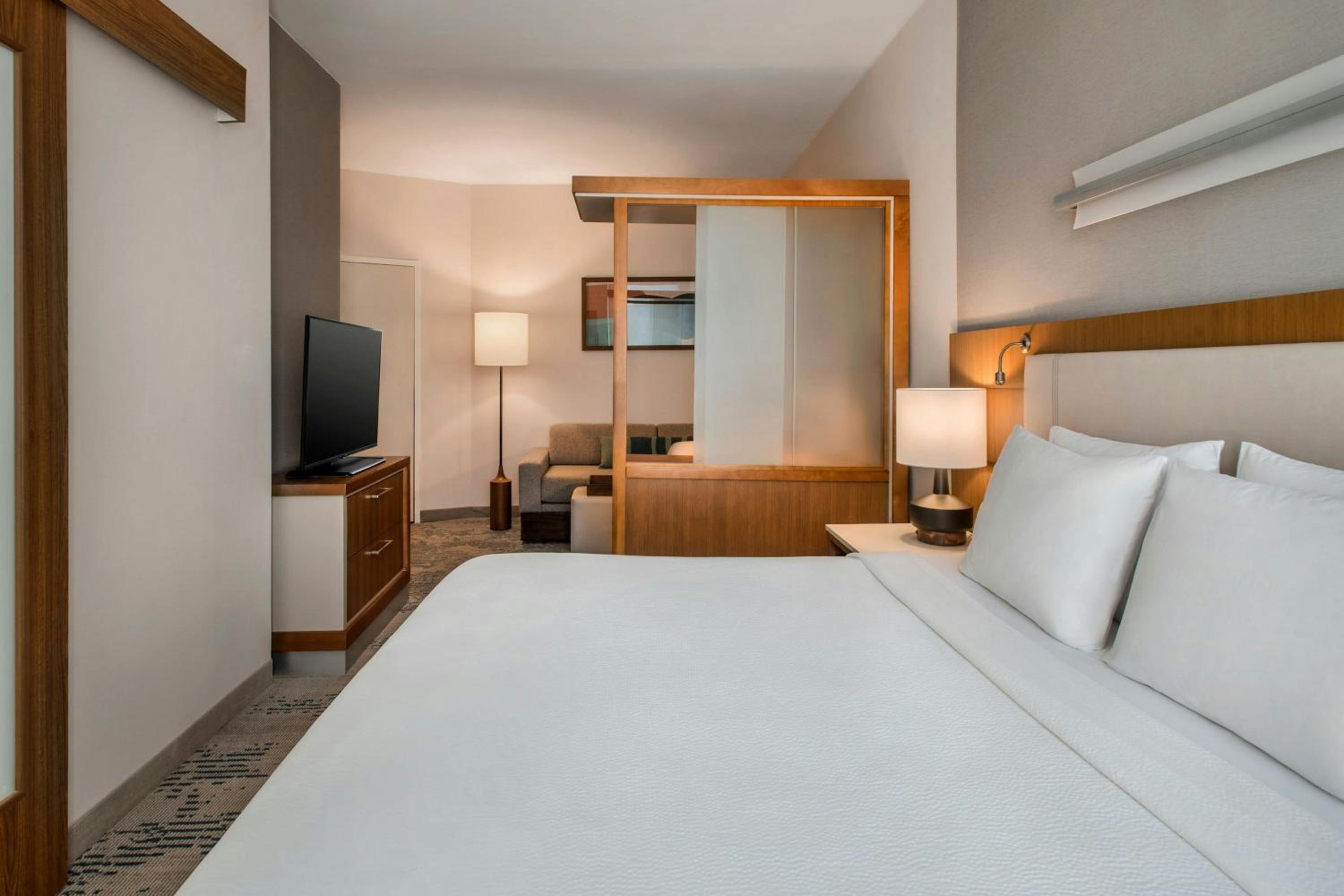 King Suite with Trundle Sofa, Roll-In Shower and Transfer Shower - Mobility Access/Hearing Accessible