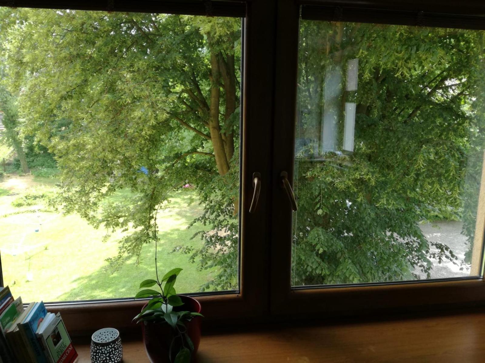 Apartment - Photo 11