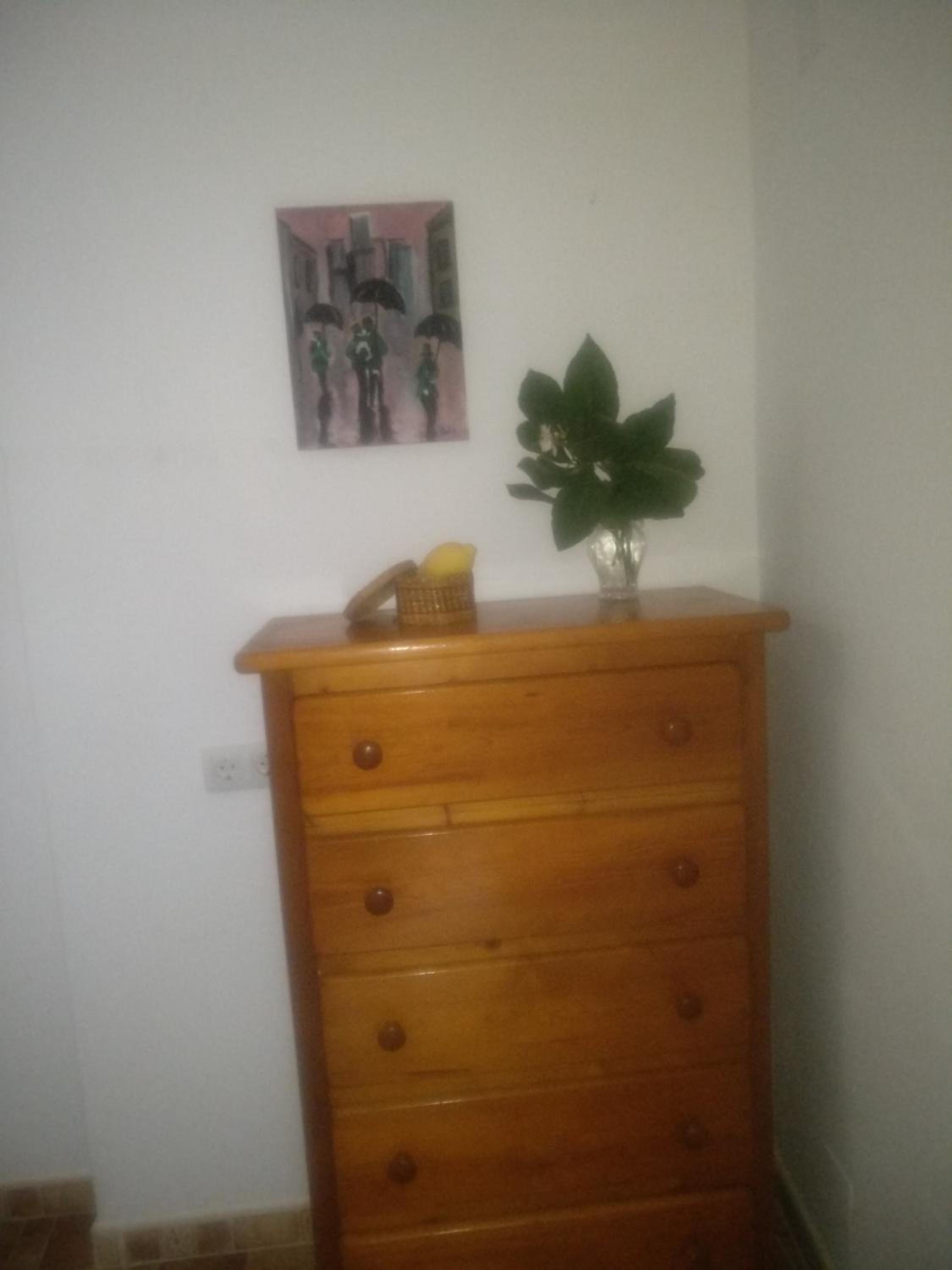Twin Room photo 3