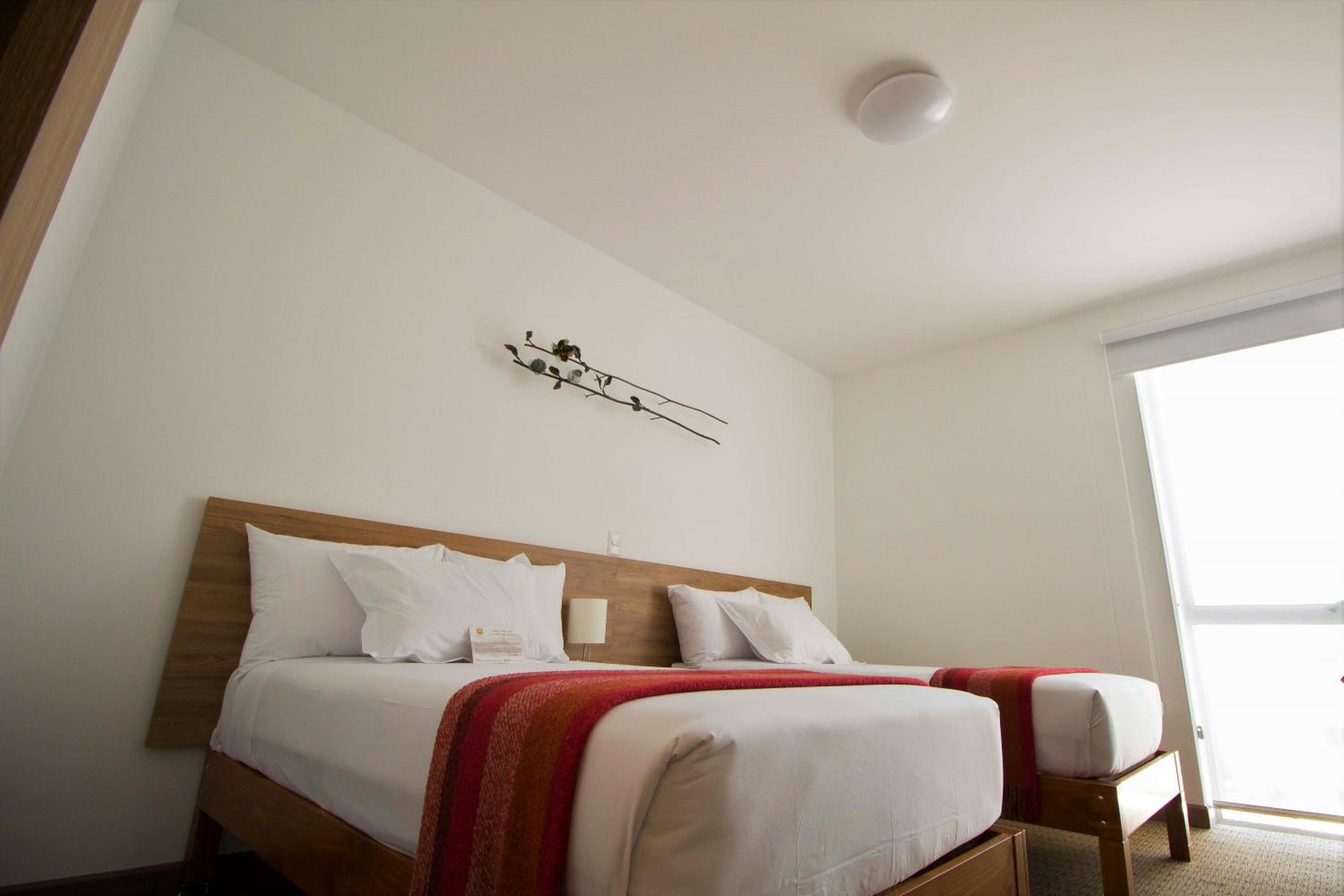 Twin Room photo 1