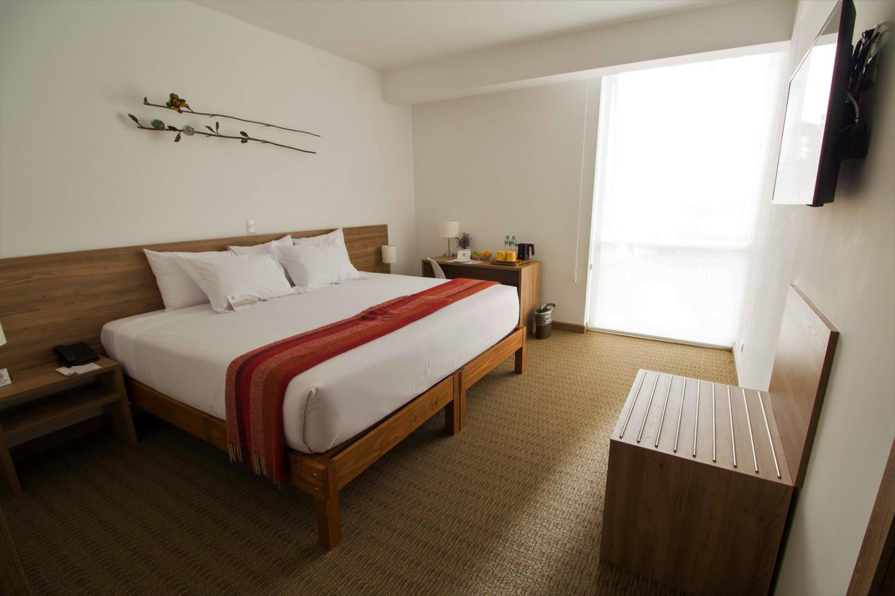 Superior Double or Twin Room photo 1