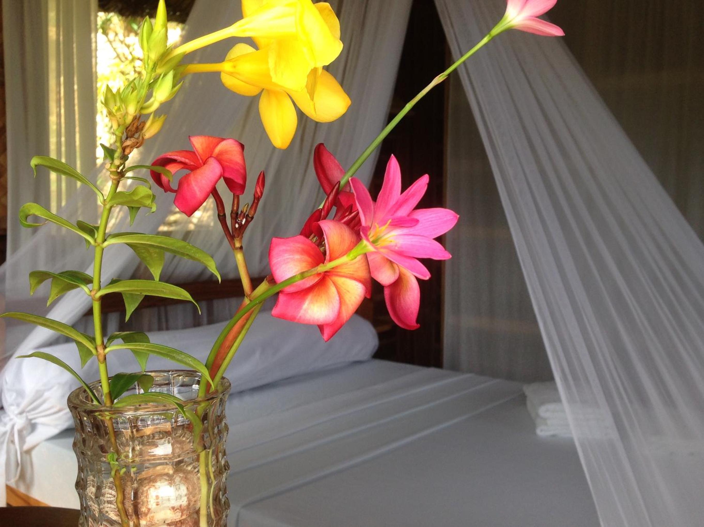Deluxe Room - Photo 1
