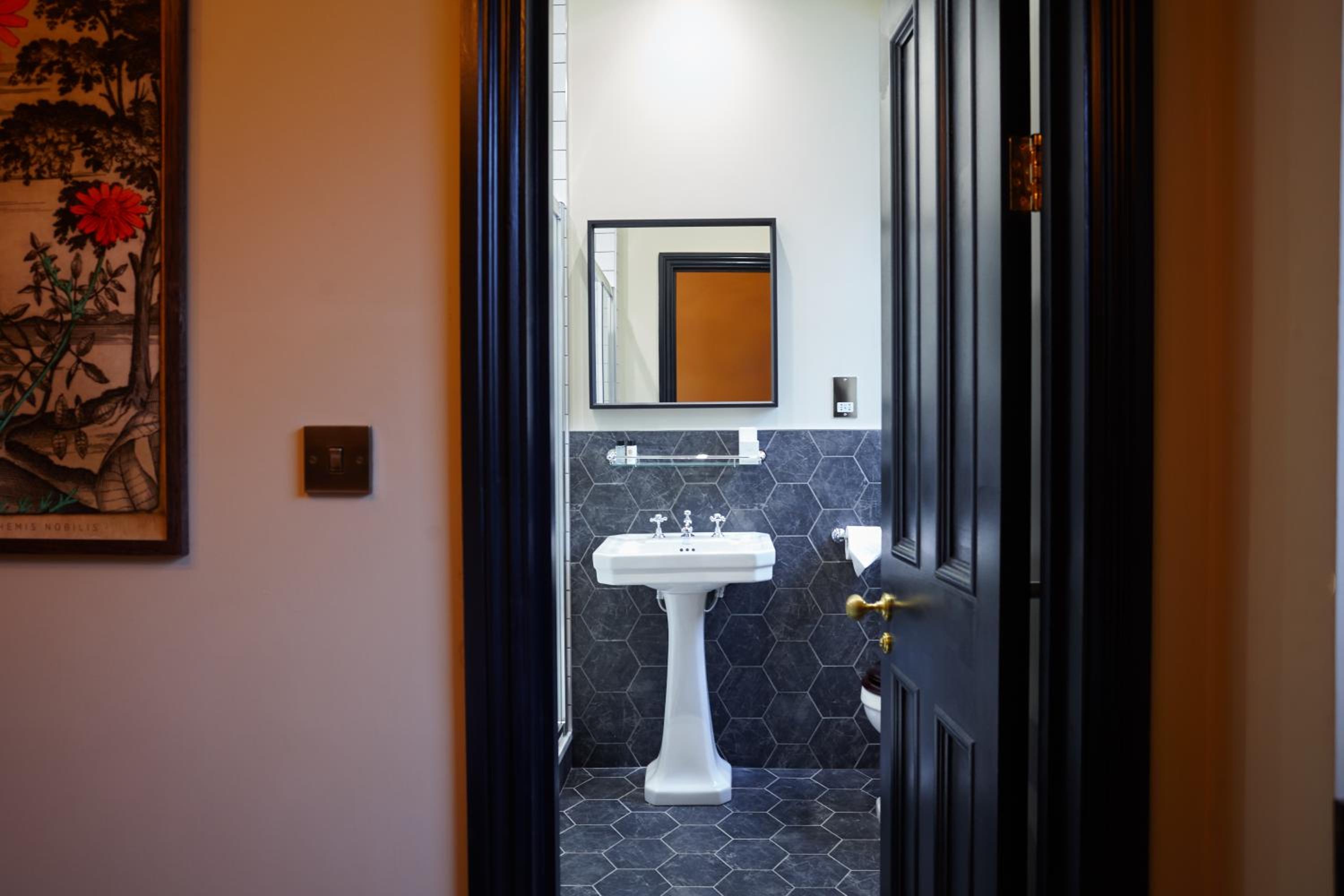 Deluxe Double or Twin Room photo 2