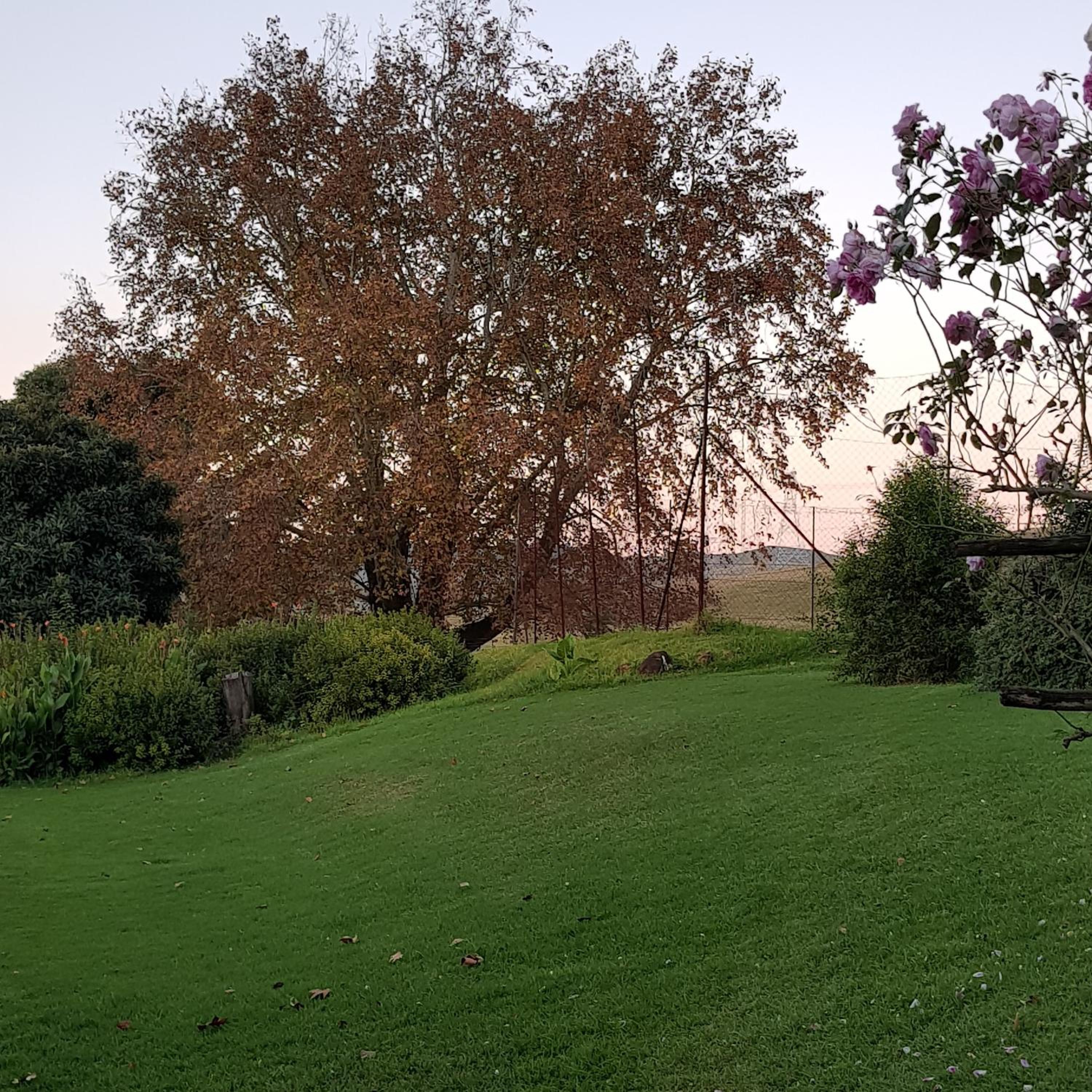 Bungalow - Photo 3