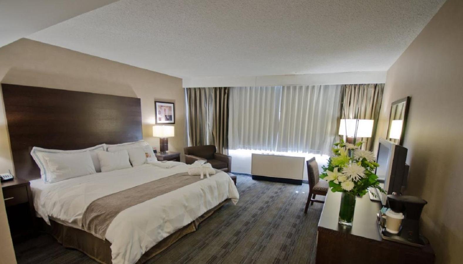 King Room - Non-Smoking - Photo 1