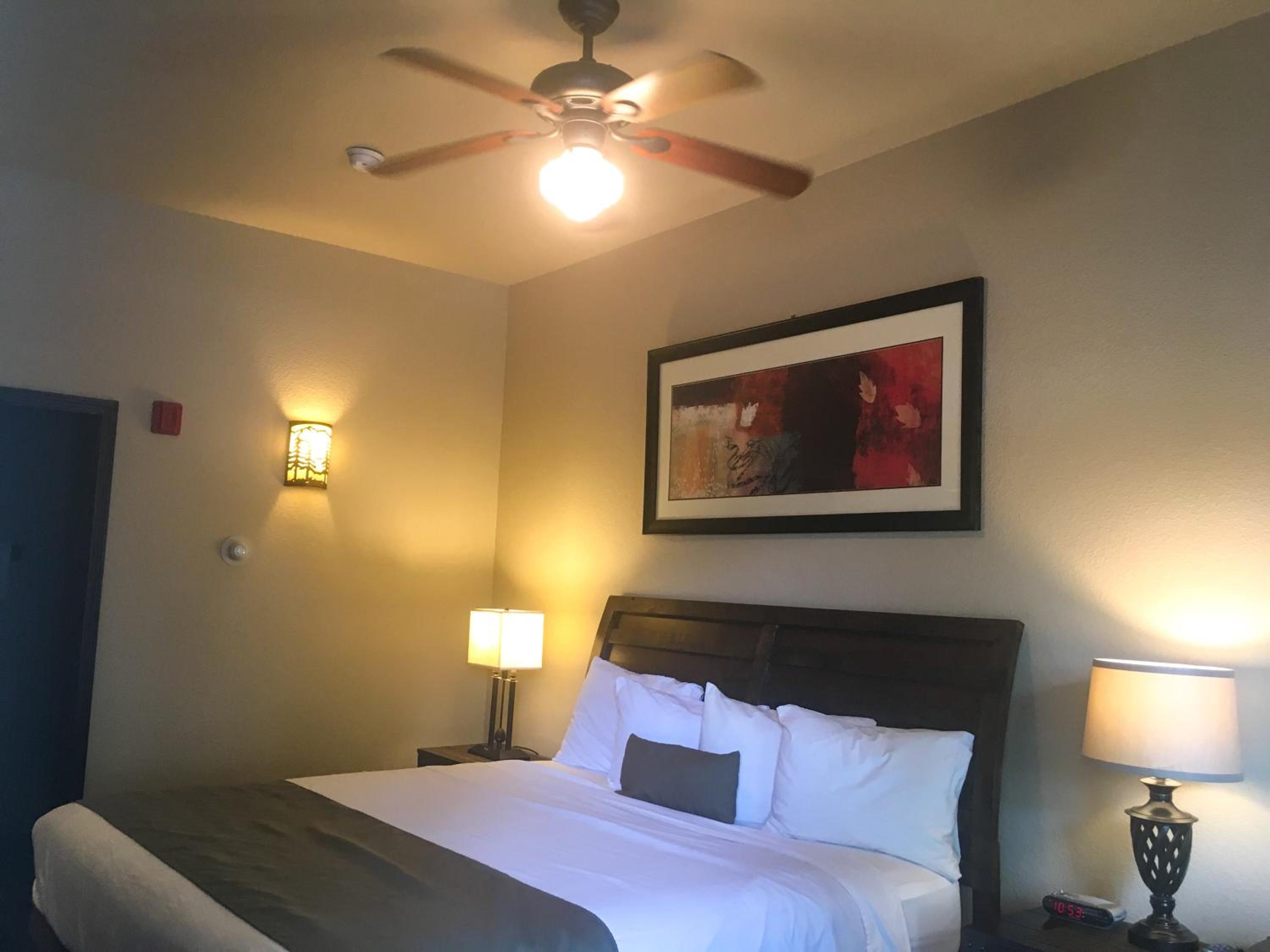 King Room photo 2