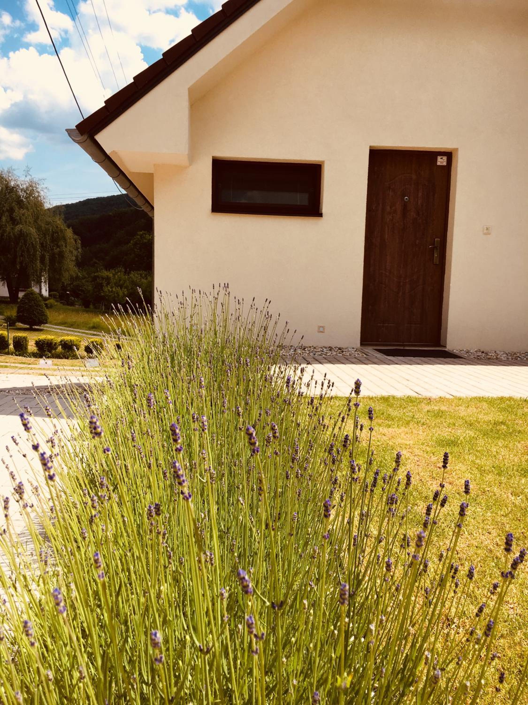 Vacation Home - Photo 9