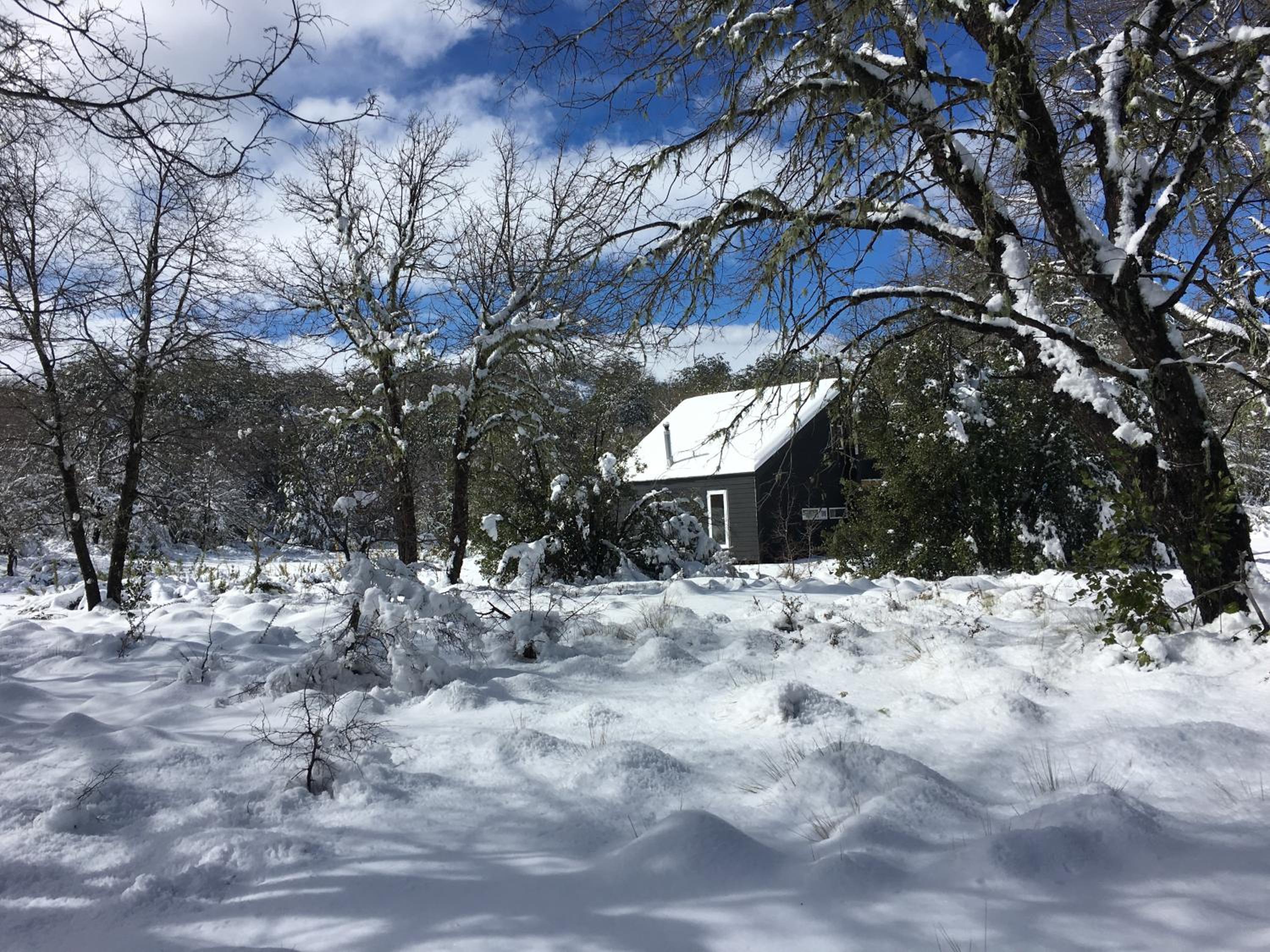 Vacation Home photo 1
