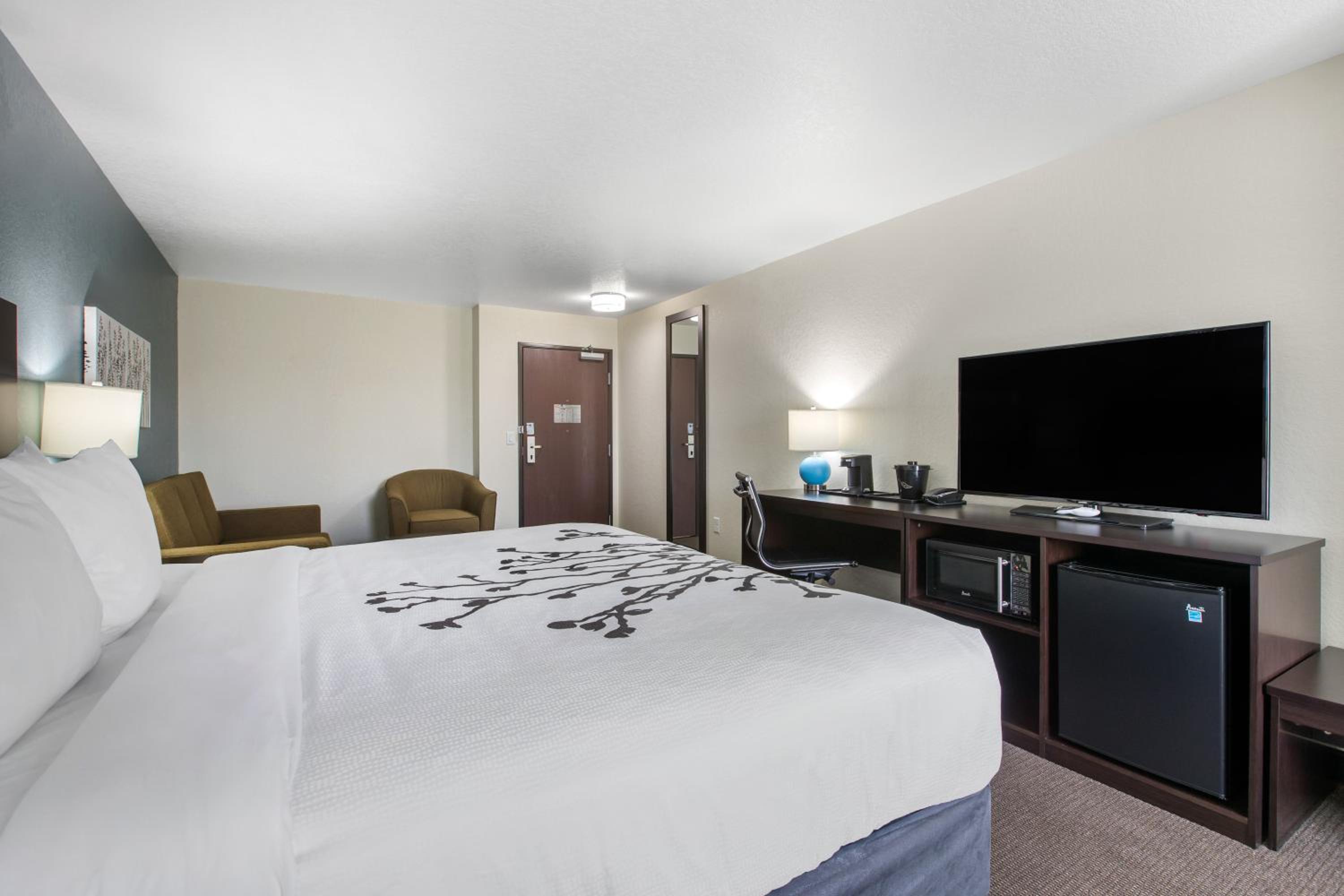 King Suite - Accessible/Non-Smoking photo 1