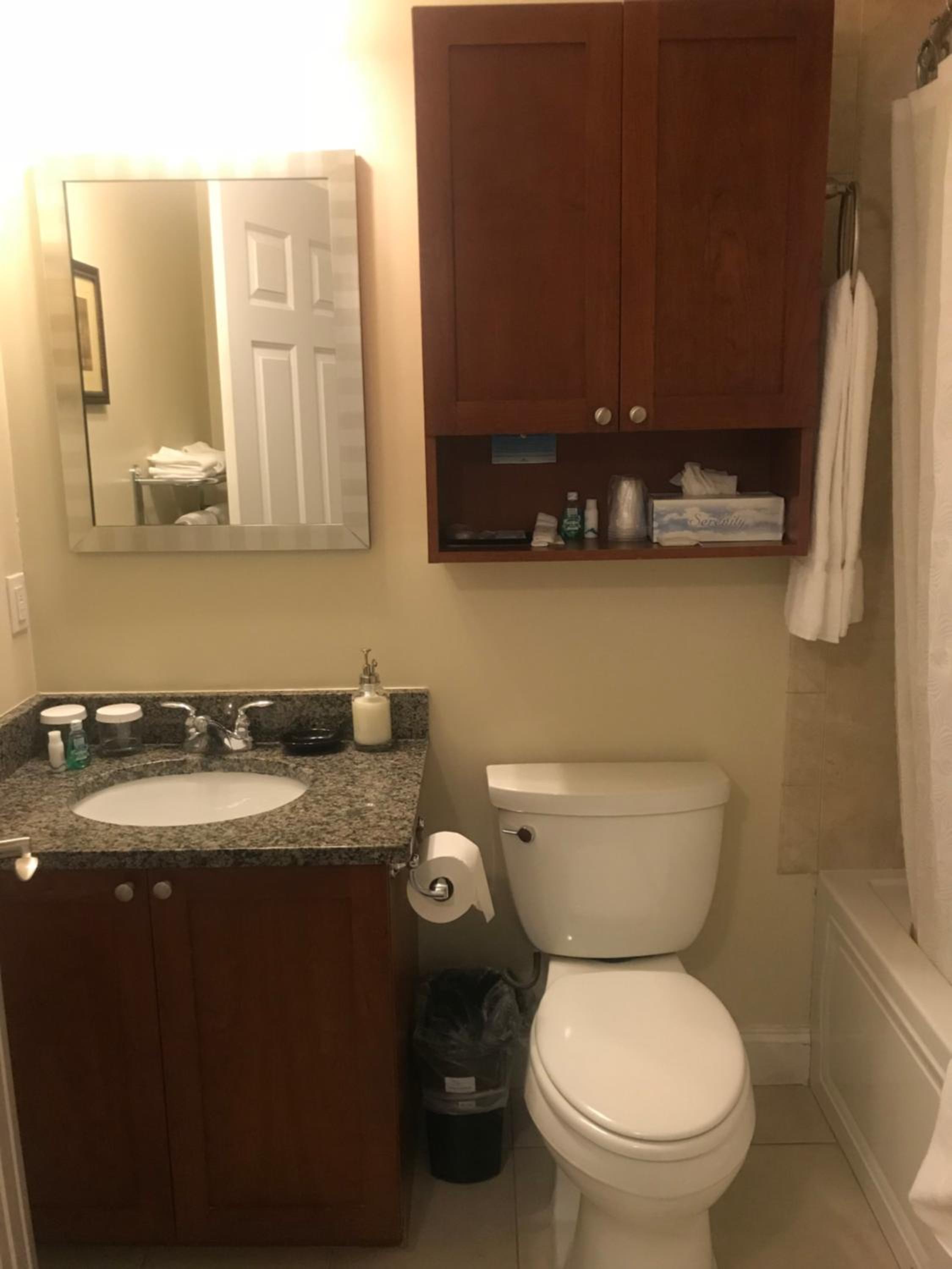 Deluxe King Suite - Photo 6