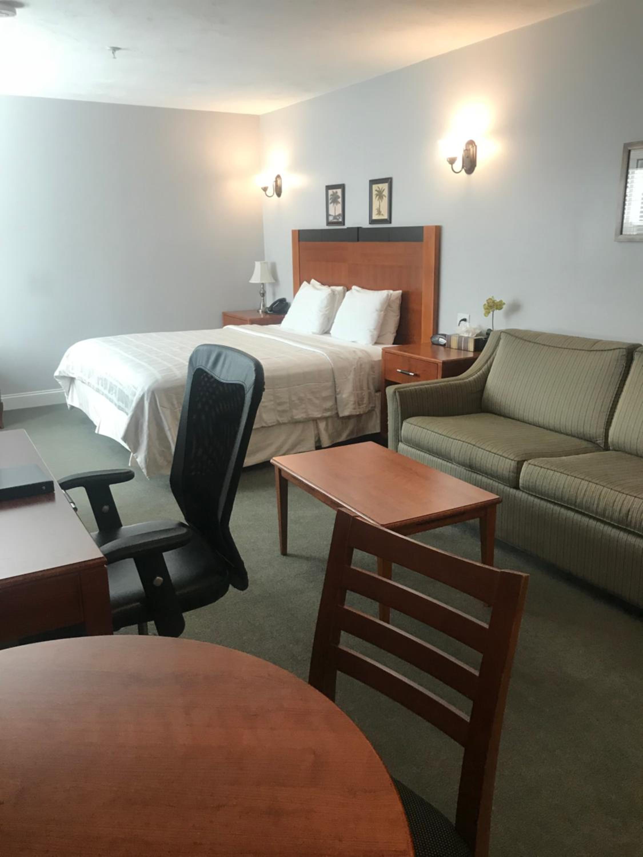 Deluxe King Suite - Photo 3