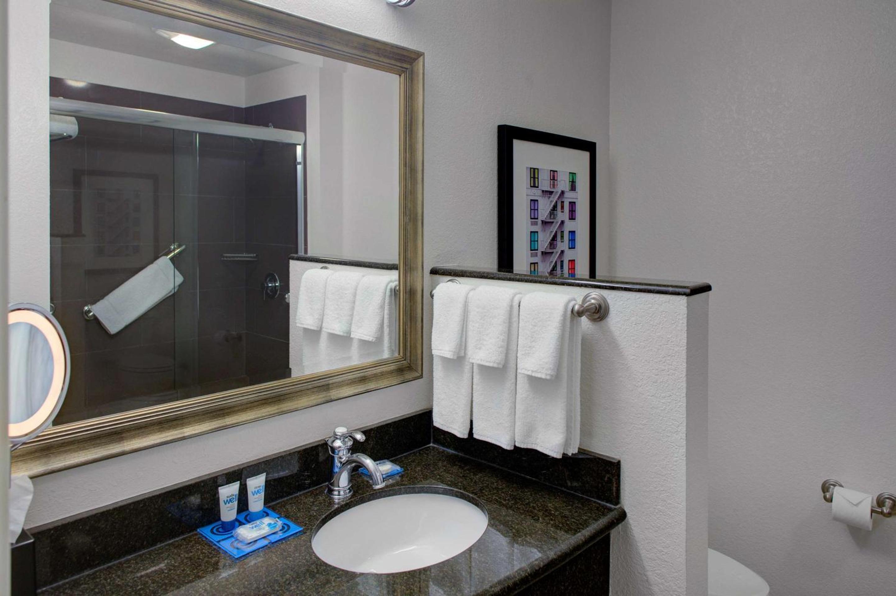 One-Bedroom King Suite - Photo 10