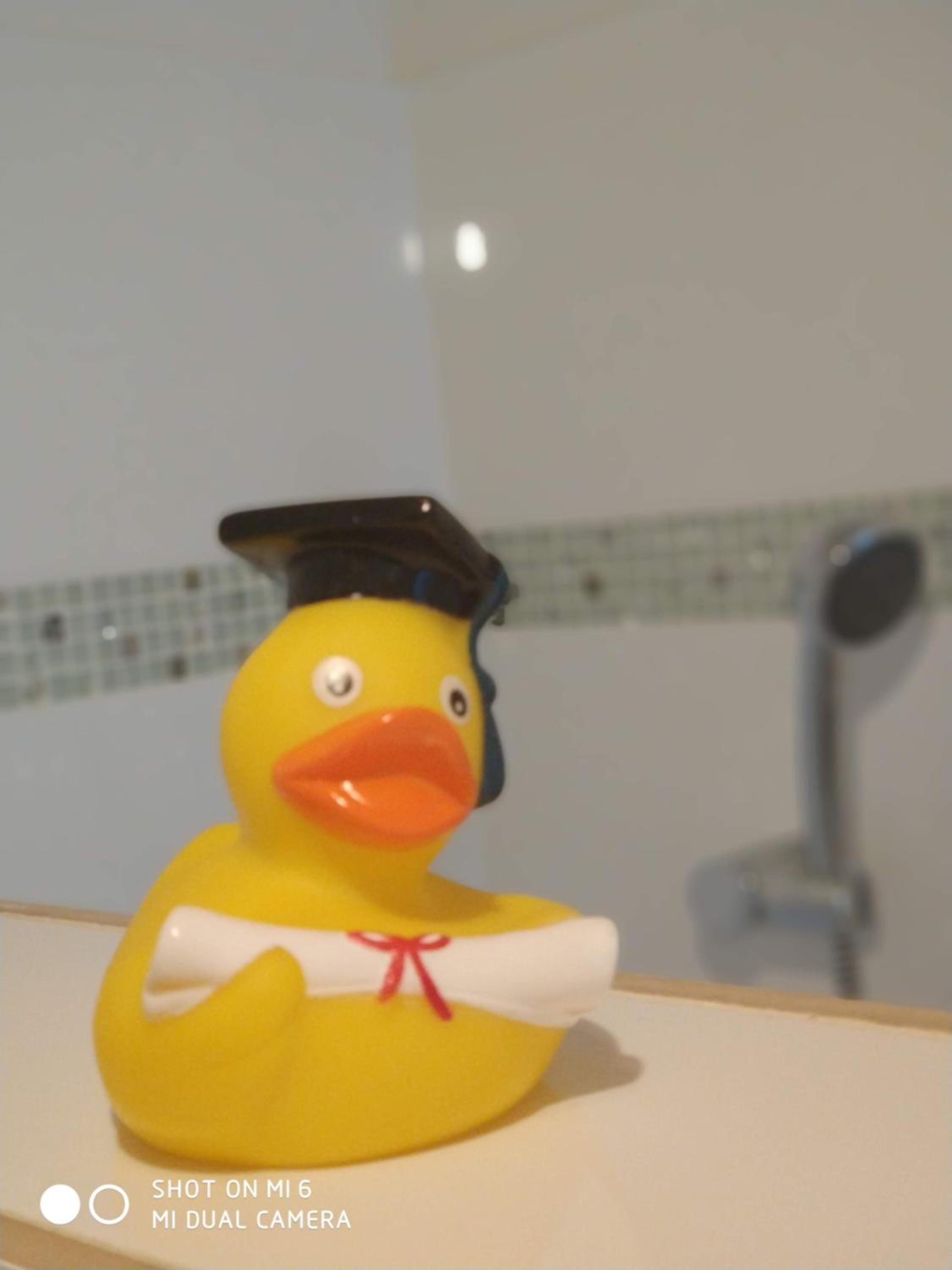 Apartment - Photo 23