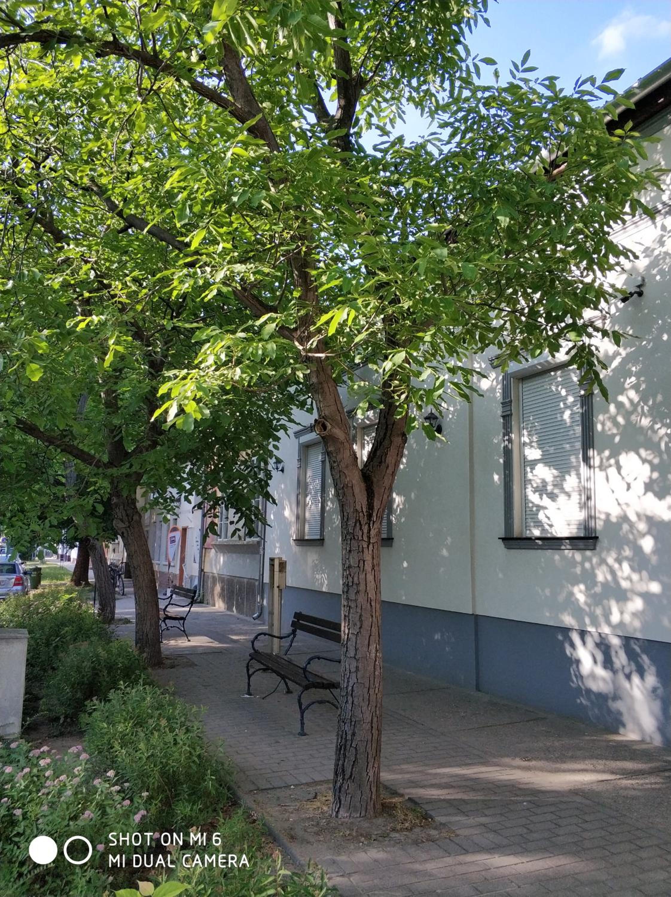 Apartment - Photo 32