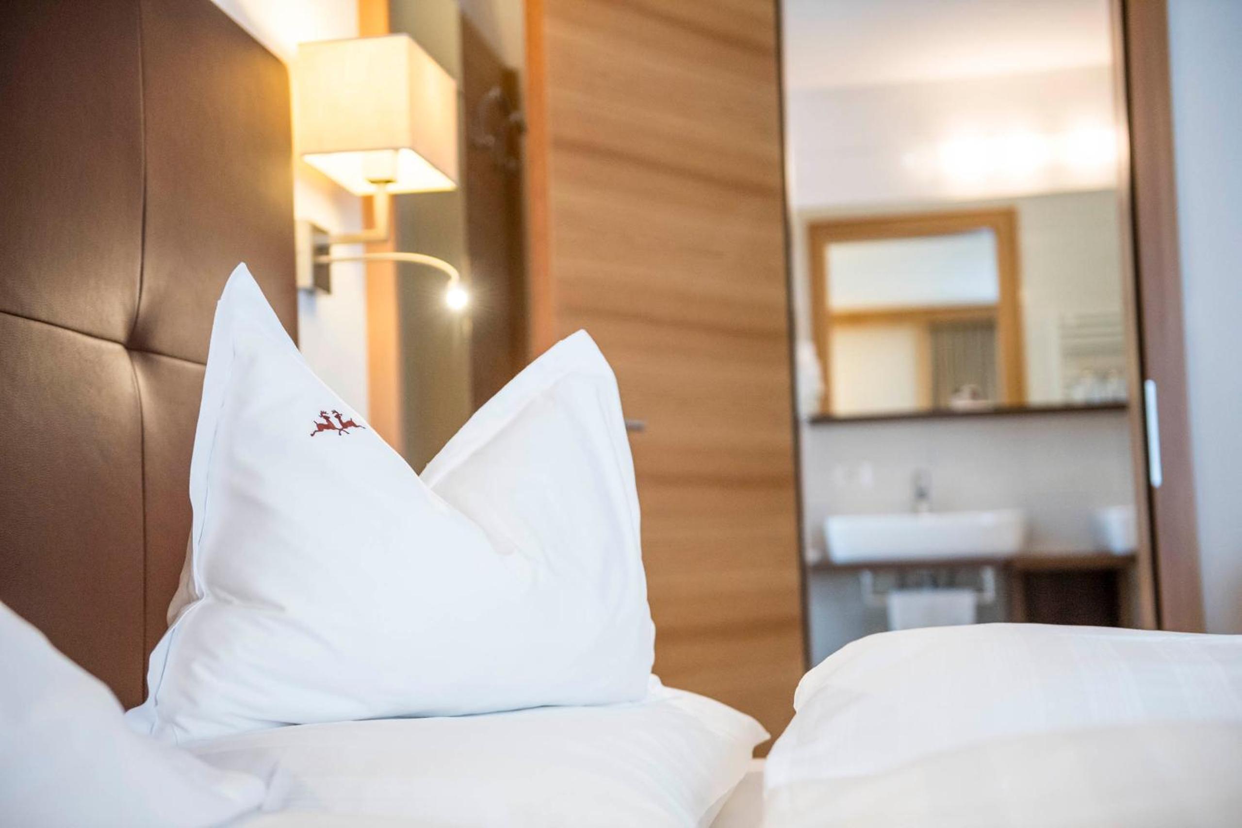 Superior Double or Twin Room photo 3