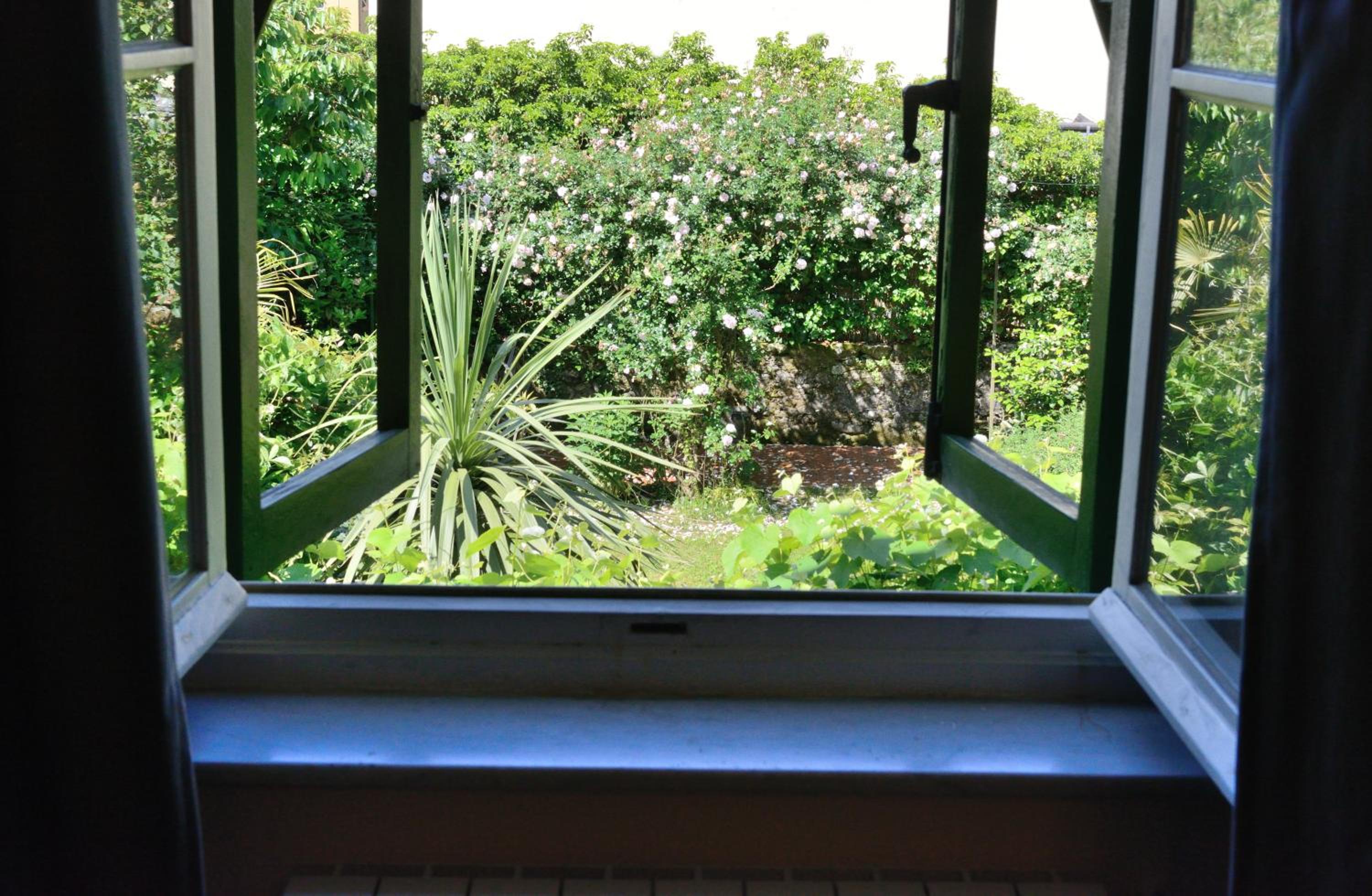 Deluxe Double Room with Bath photo 2