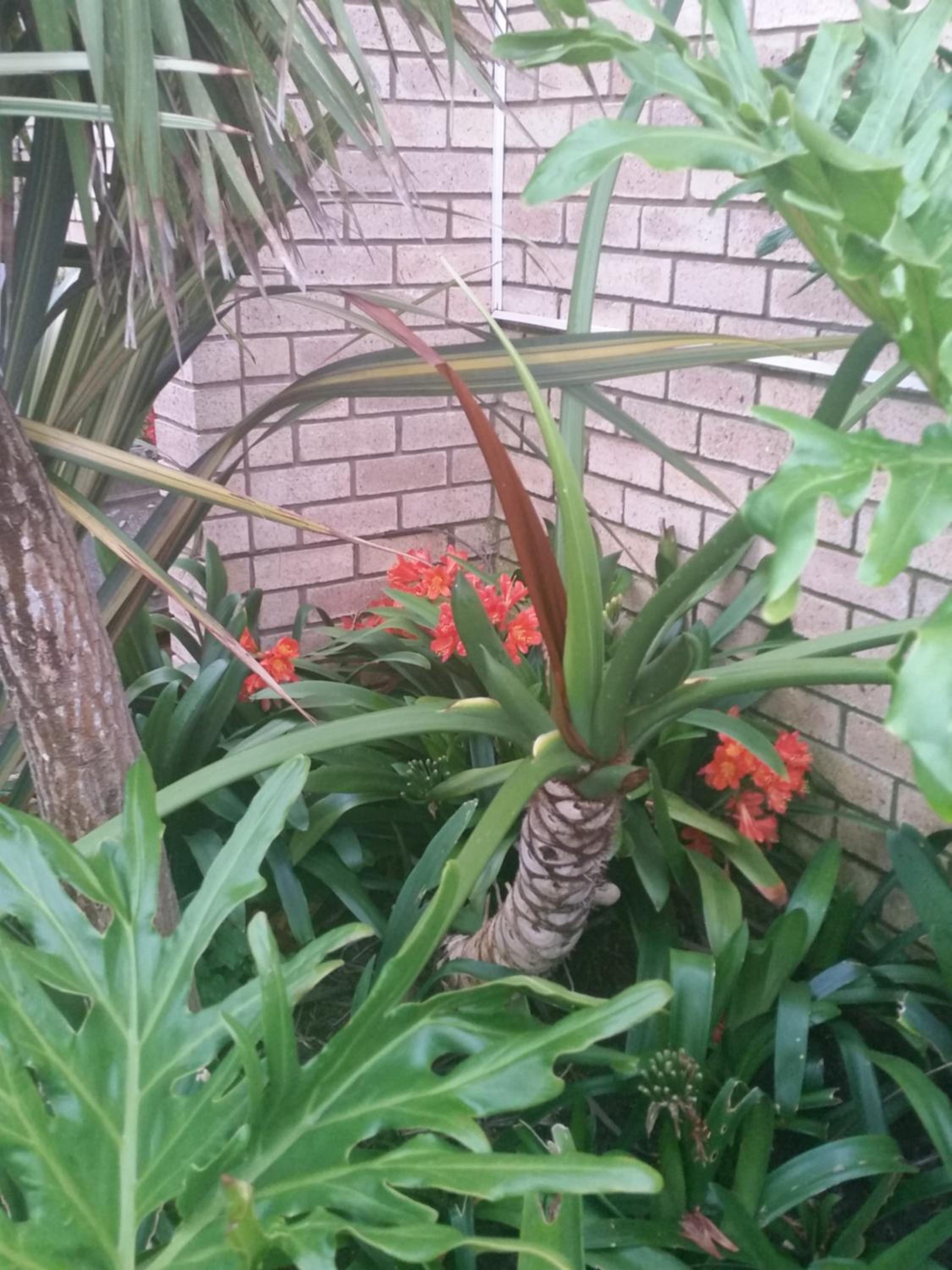 Villa - Photo 14
