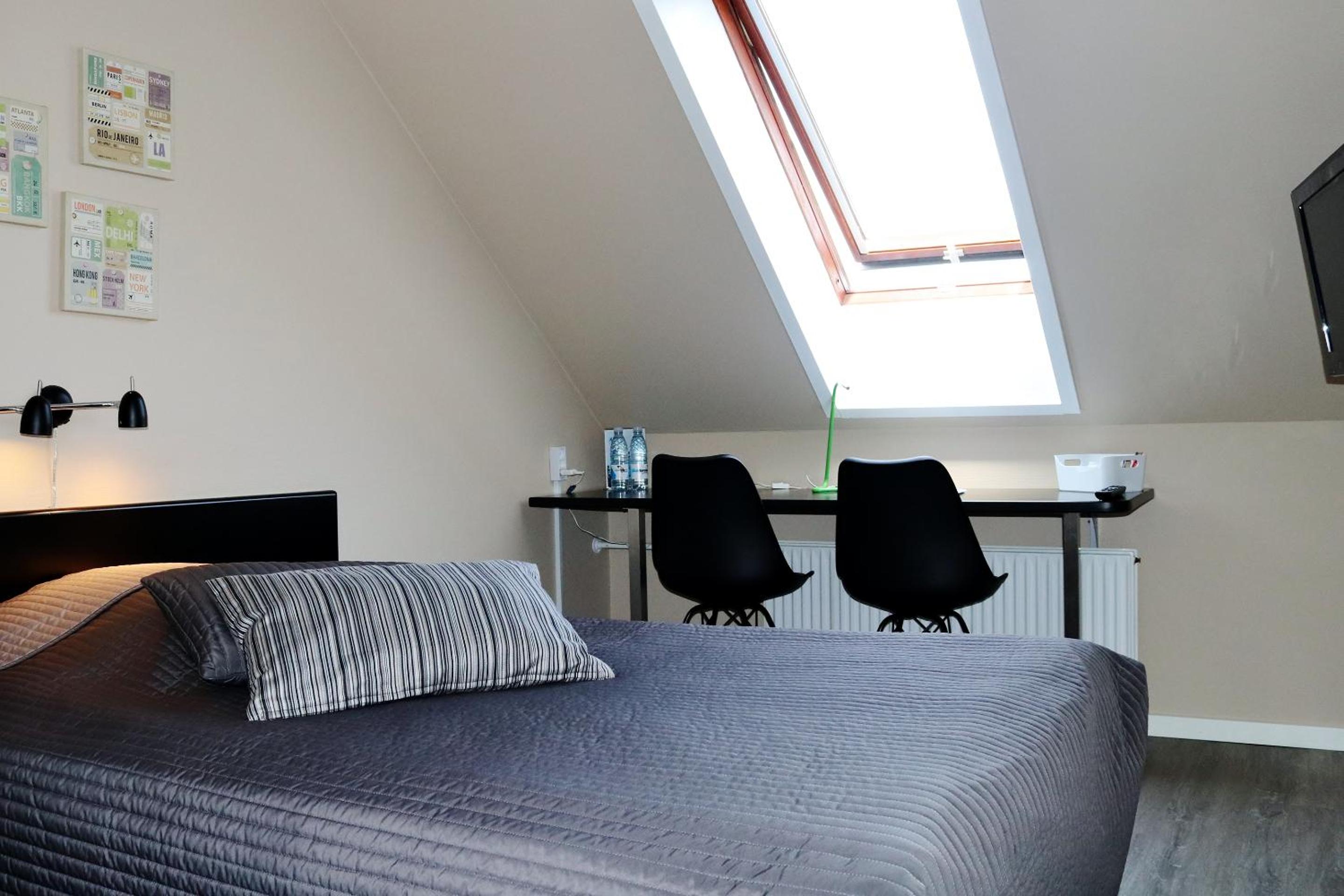 Single Room photo 1