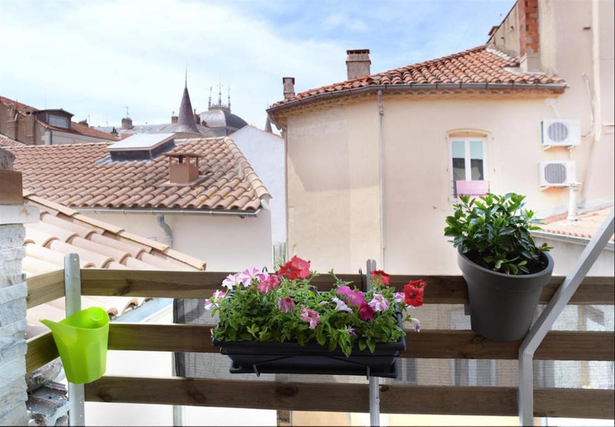 Apartment with Terrace photo 3