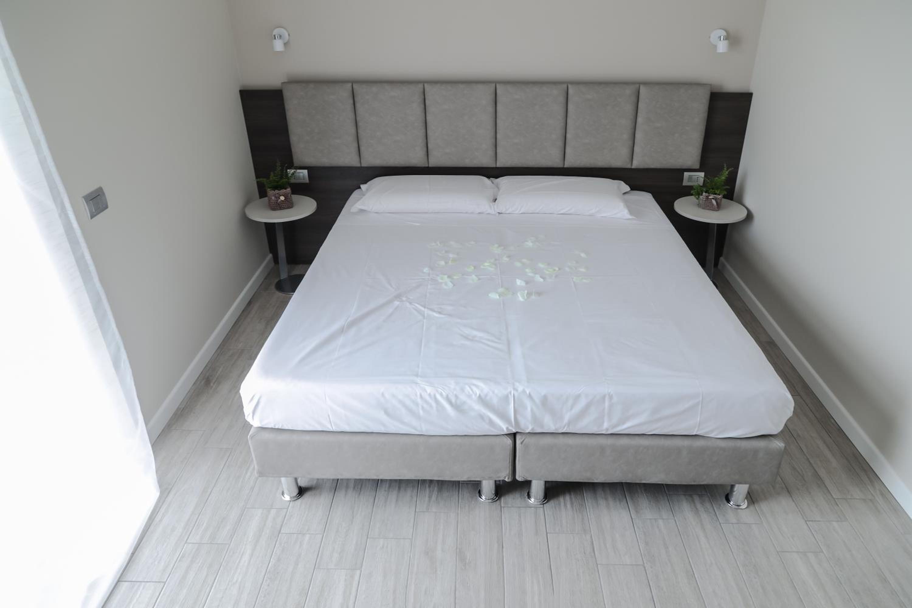 Deluxe Double or Twin Room photo 1