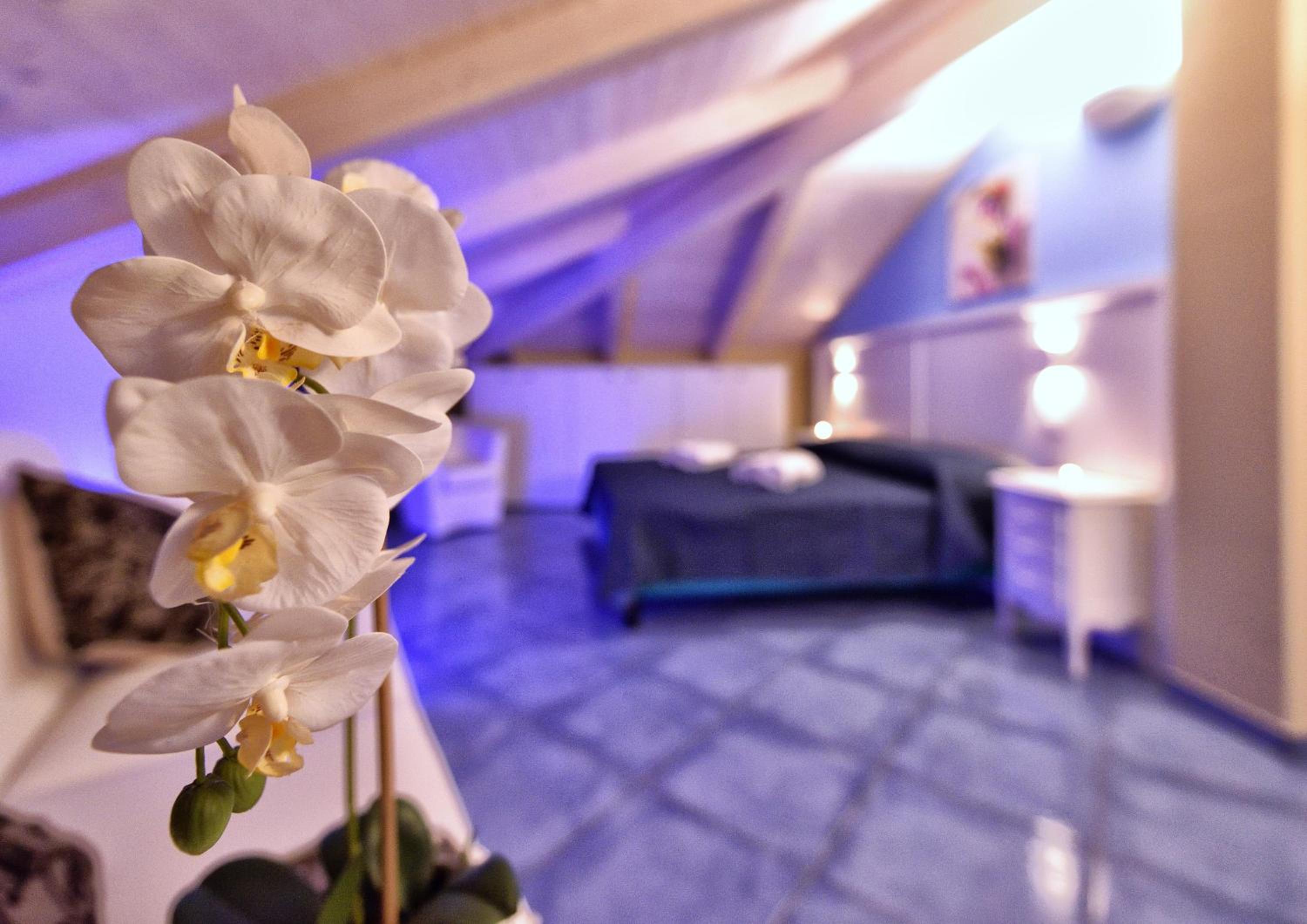 Junior Suite photo 1