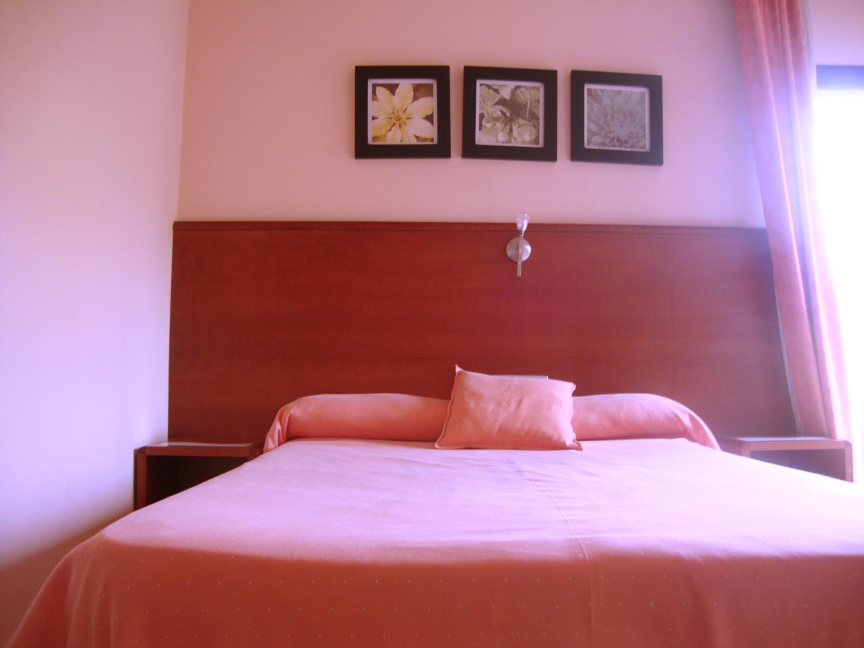 Basic Double Room
