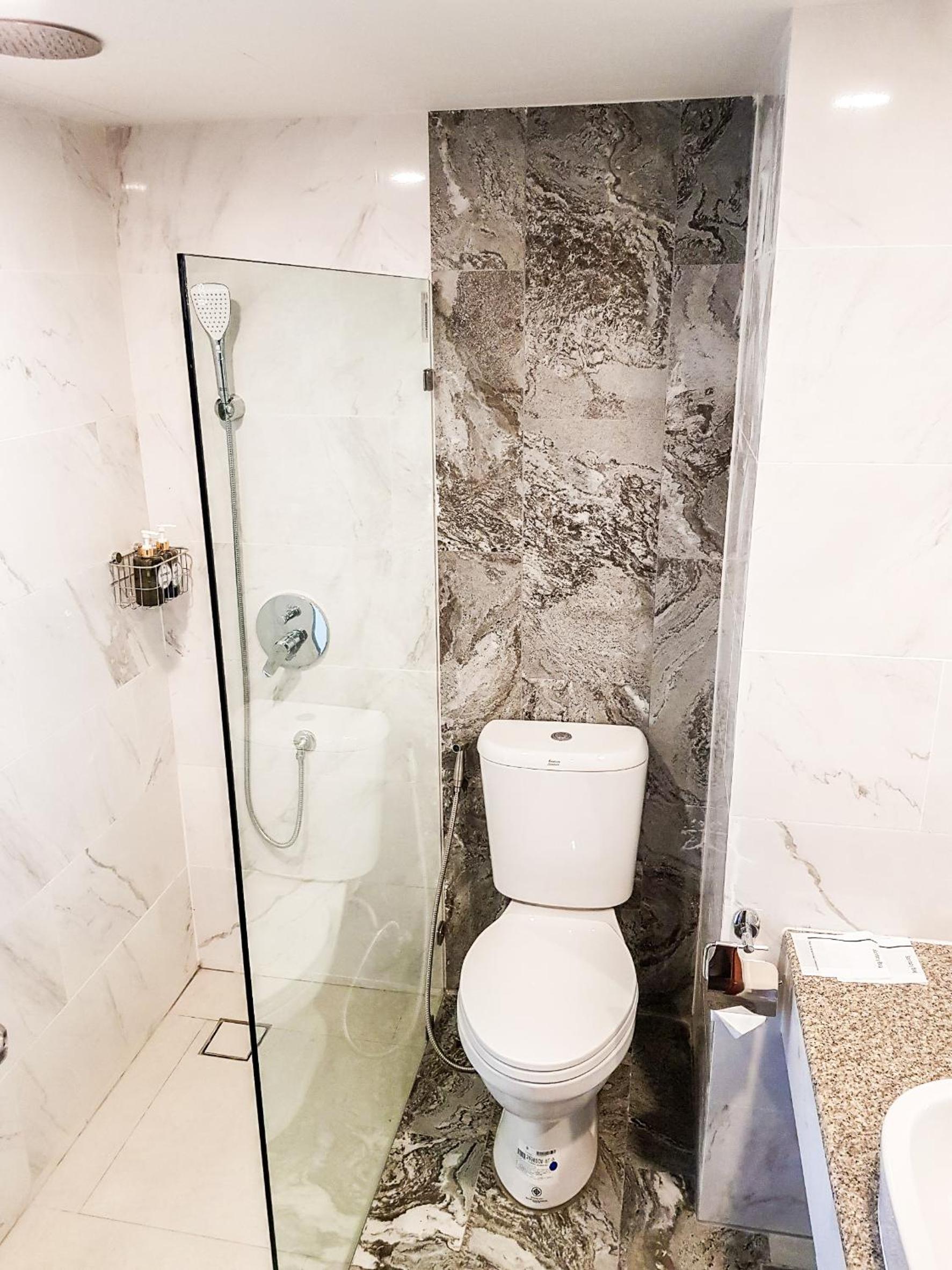 Superior Deluxe Double or Twin Room  photo 3