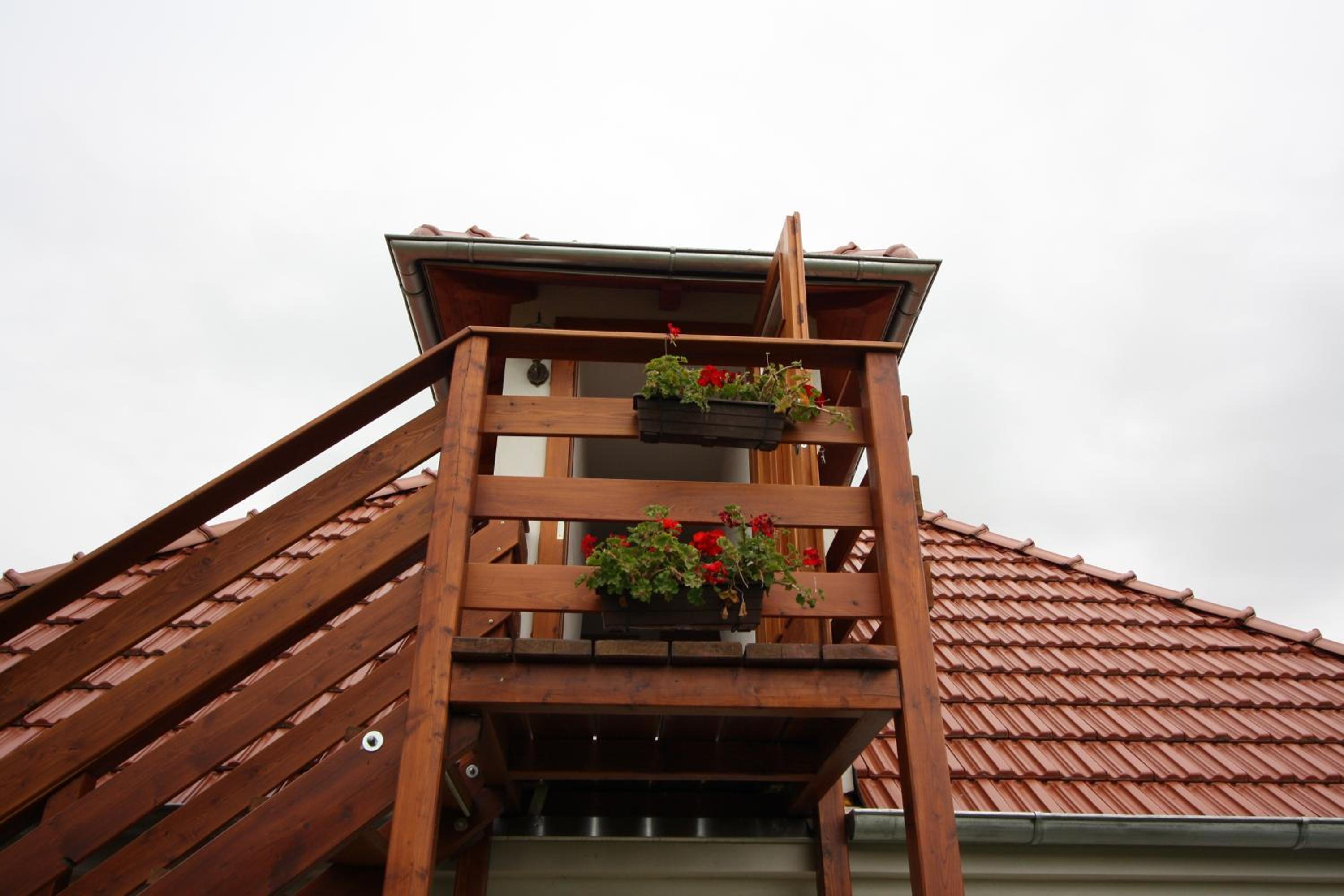Apartment with Garden View photo 1
