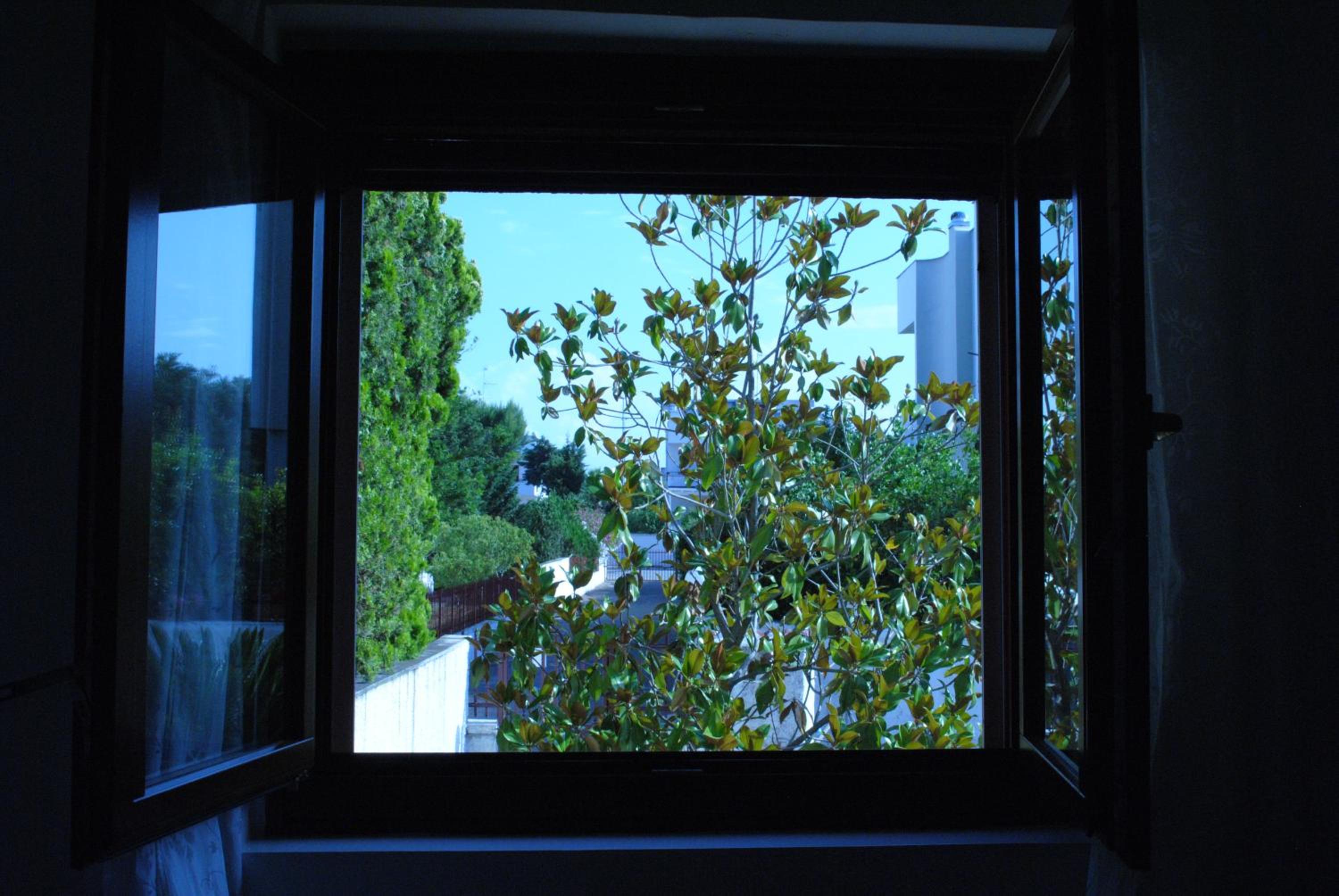 Deluxe Double or Twin Room with Garden View photo 2