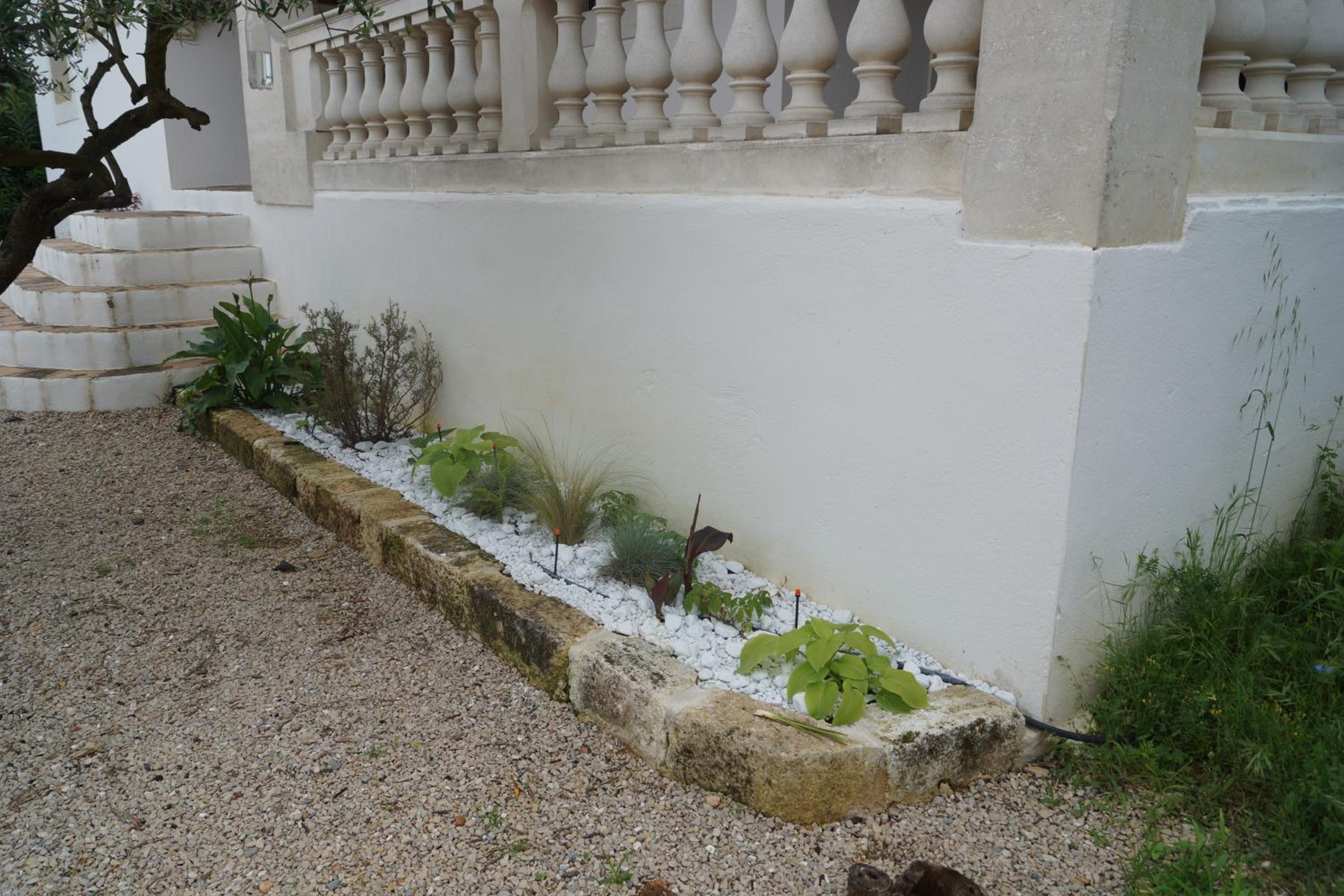Triple Room with Garden View photo 1