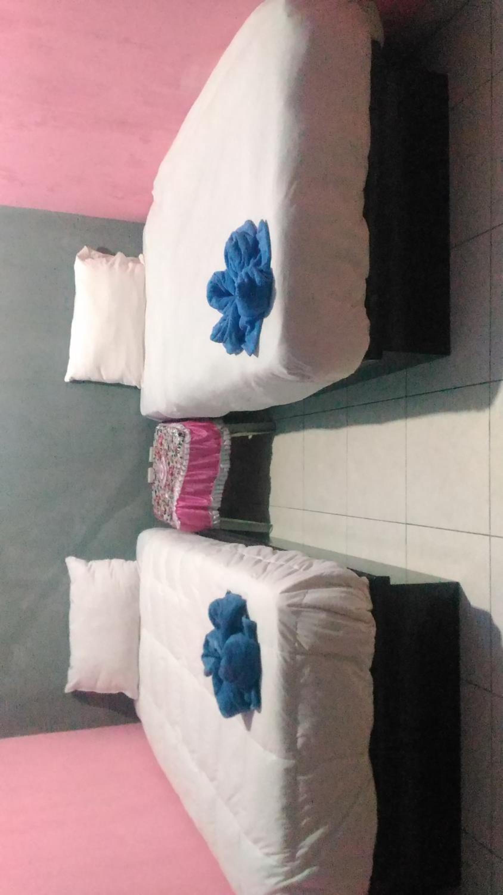 Standard Twin Room photo 2