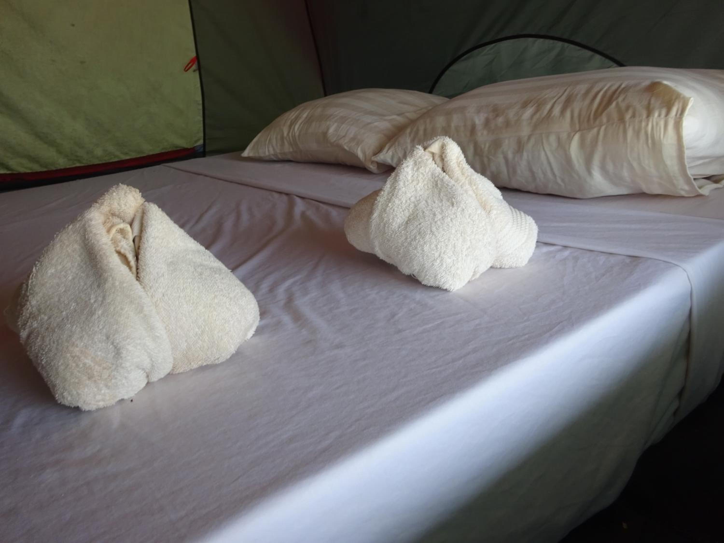 Sea View Tent photo 1