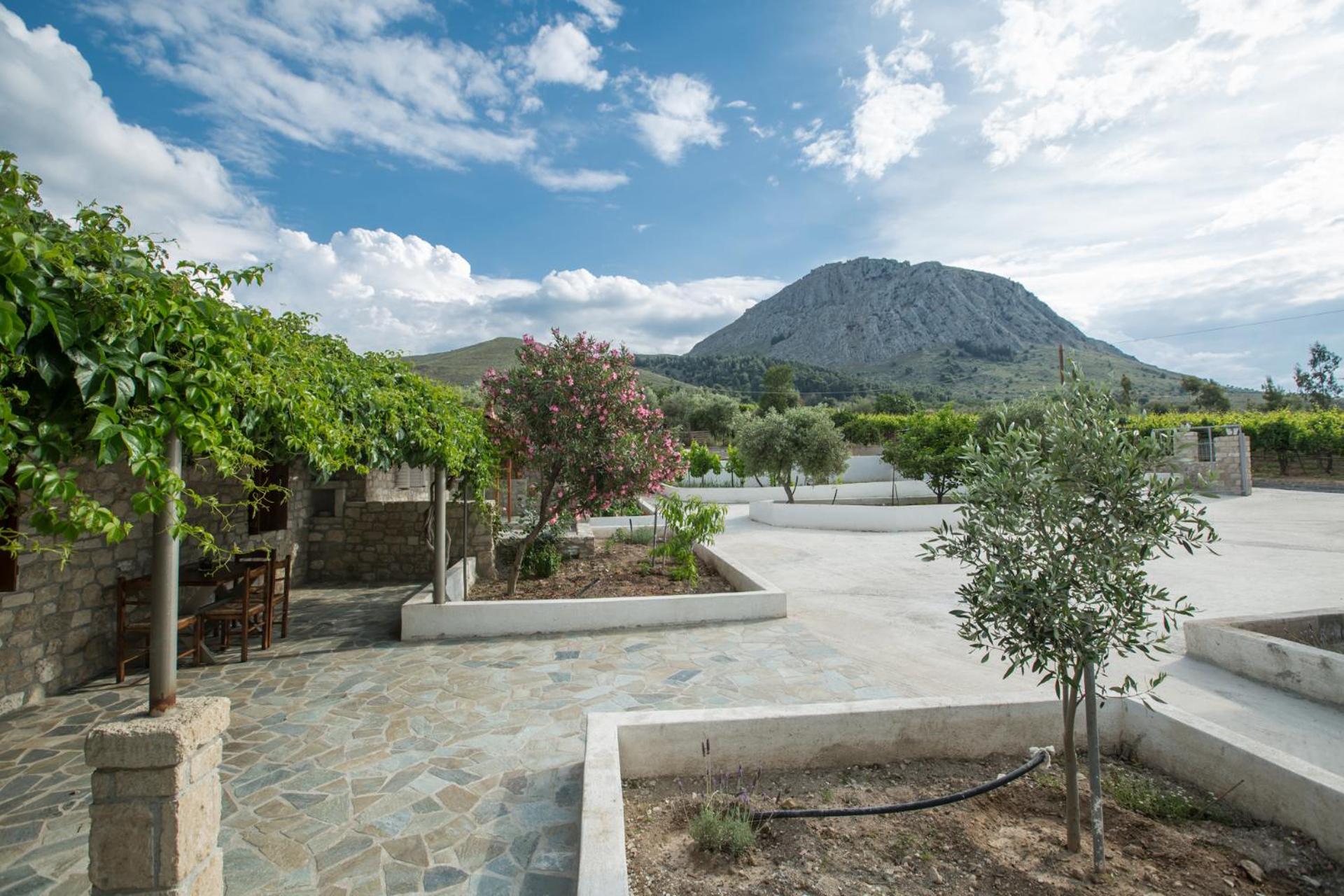 Apartment with Mountain View - Photo 6