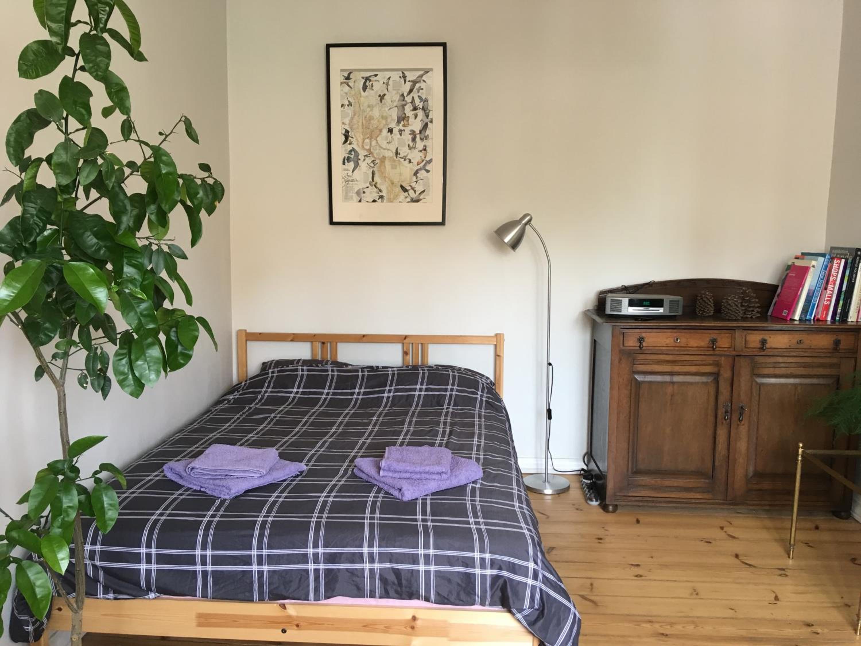 Apartment - Photo 3