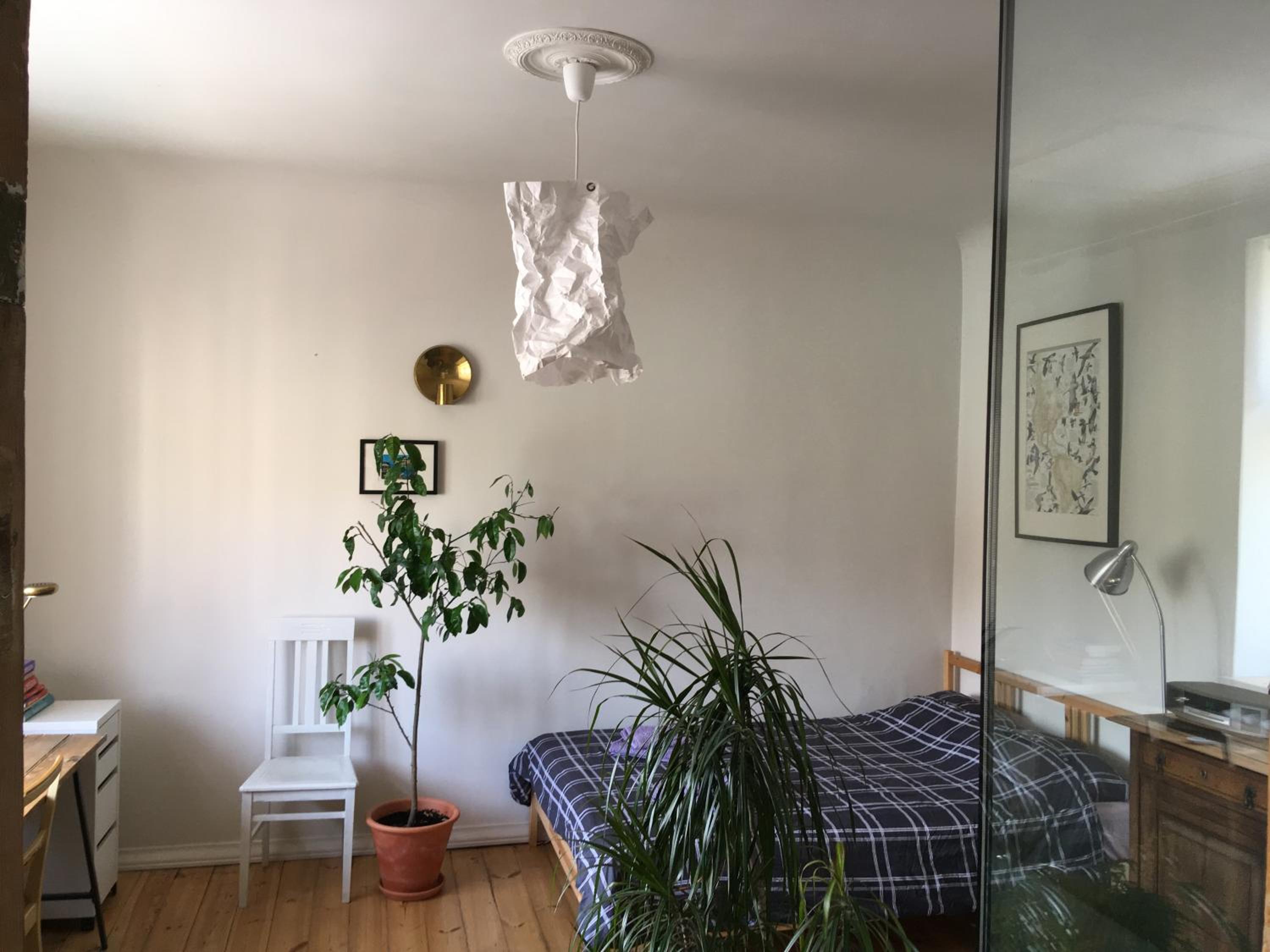 Apartment - Photo 6
