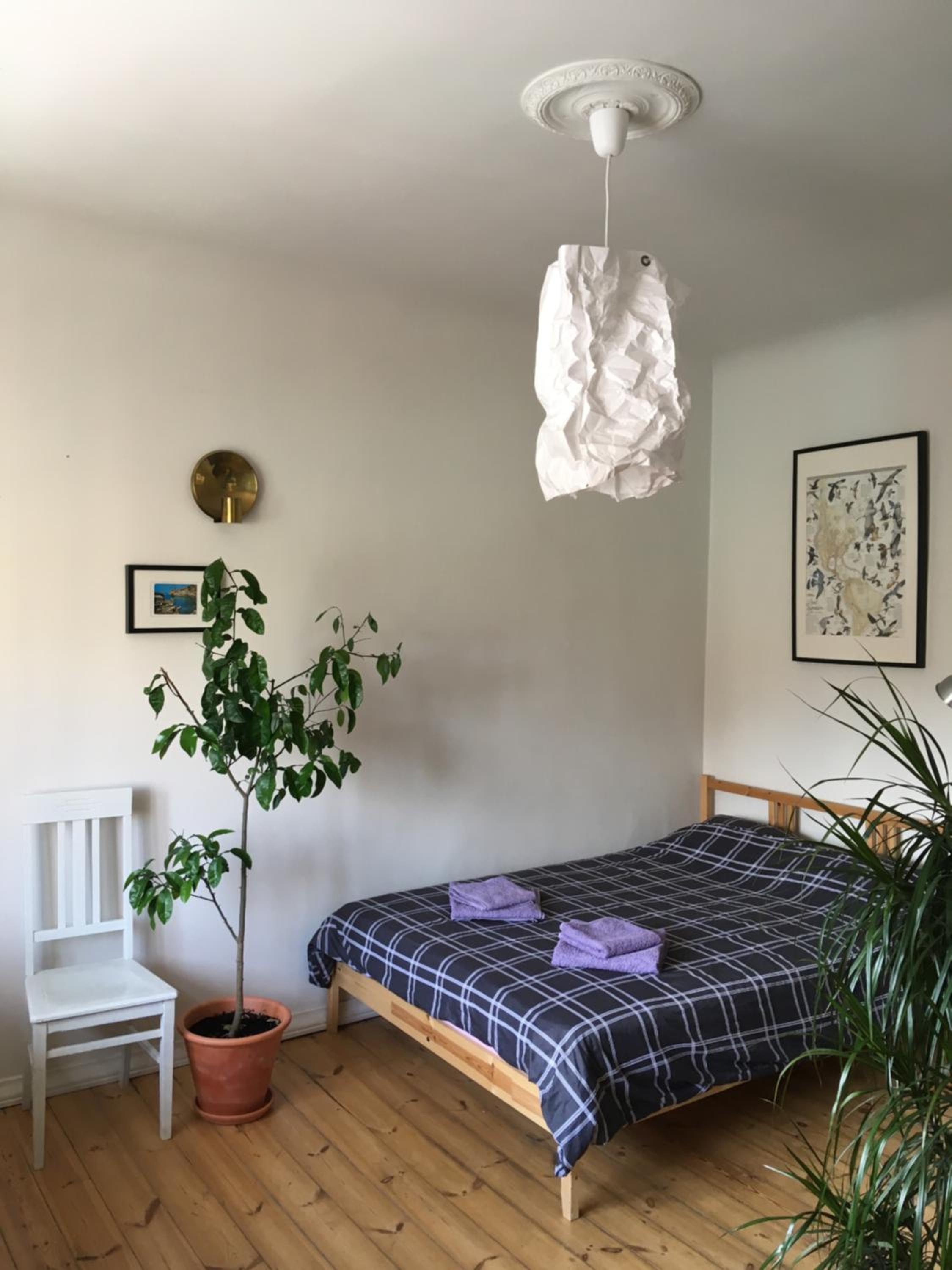 Apartment - Photo 7