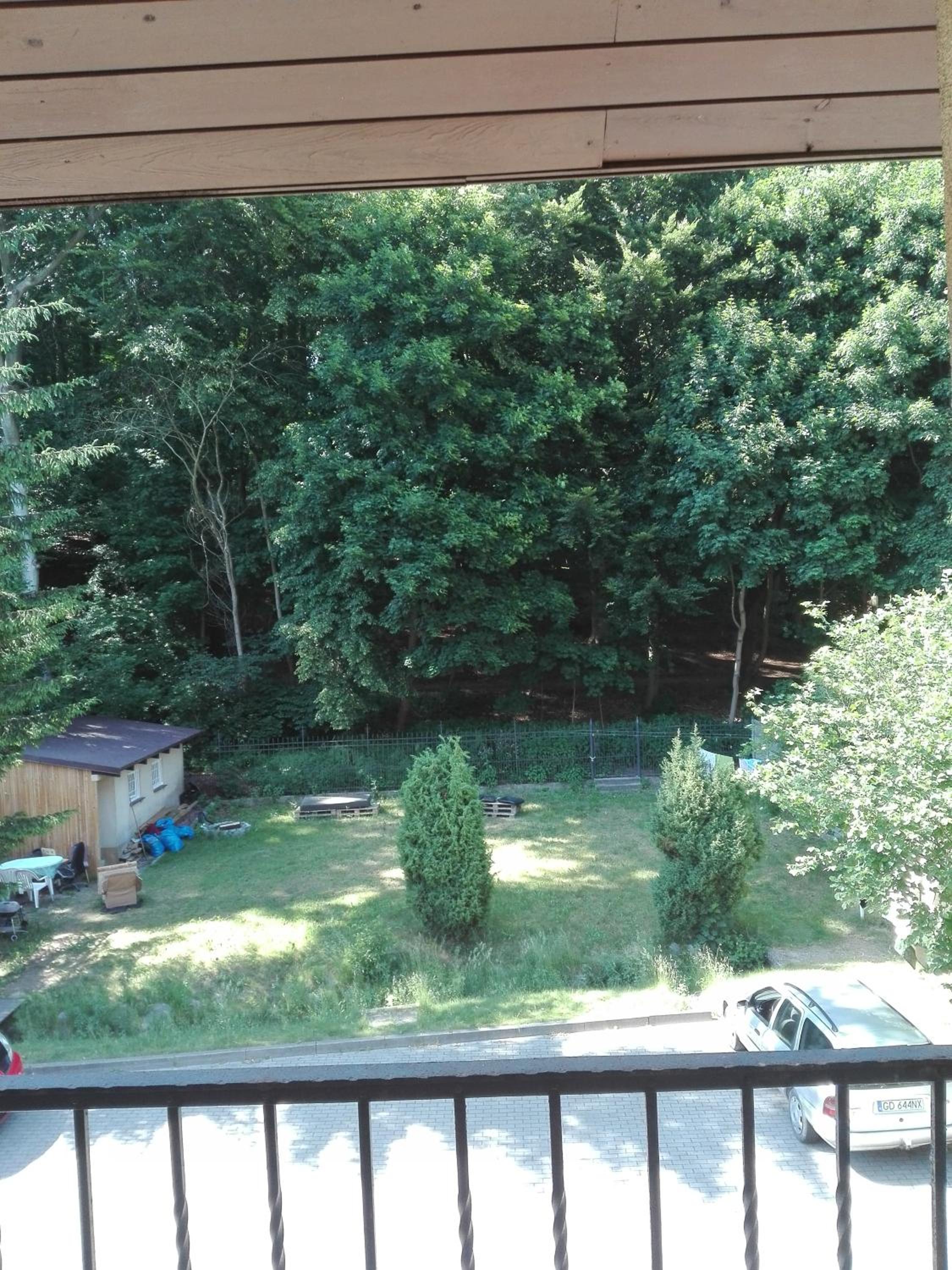 Family Room with Garden View - Photo 39