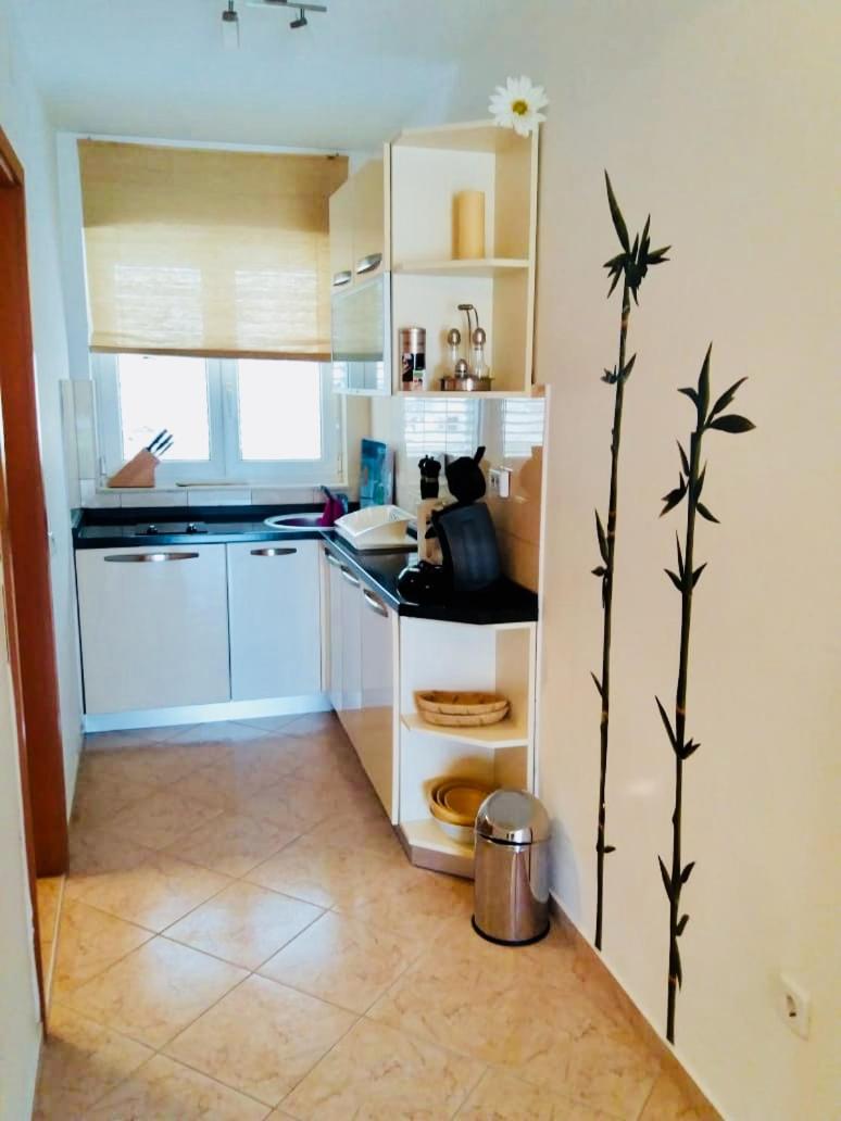 Apartment with Garden View photo 2