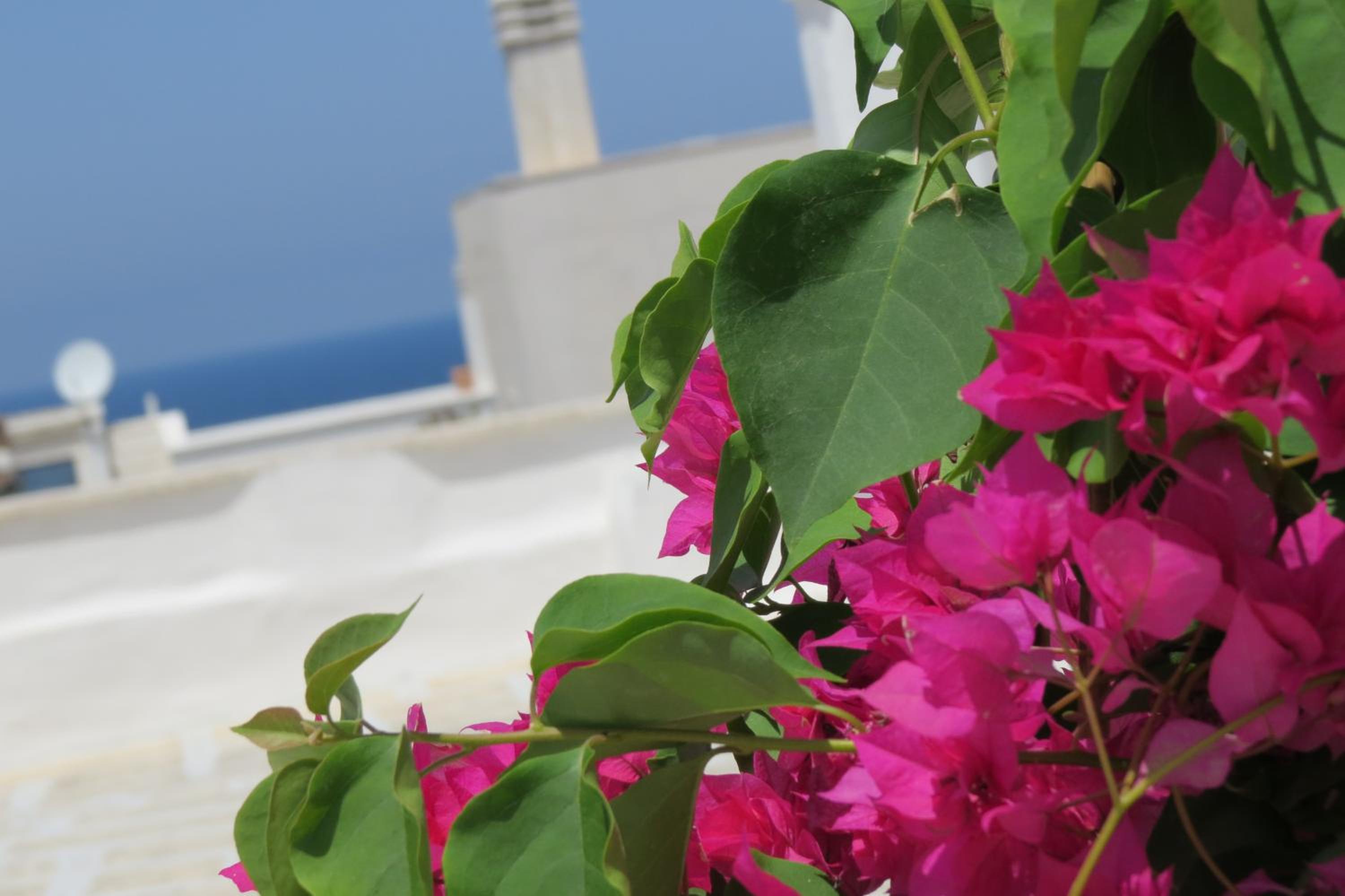 Vacation Home - Photo 62