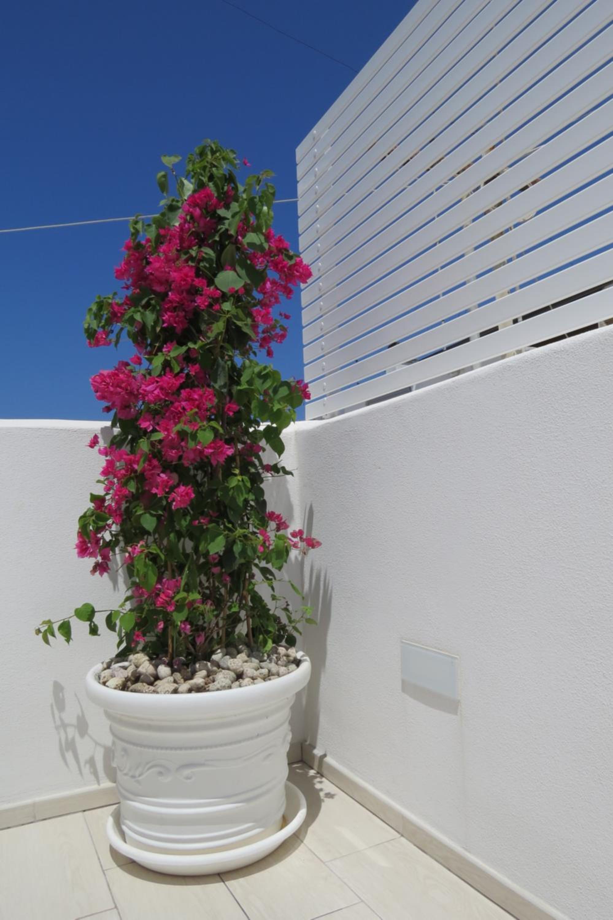 Vacation Home - Photo 44