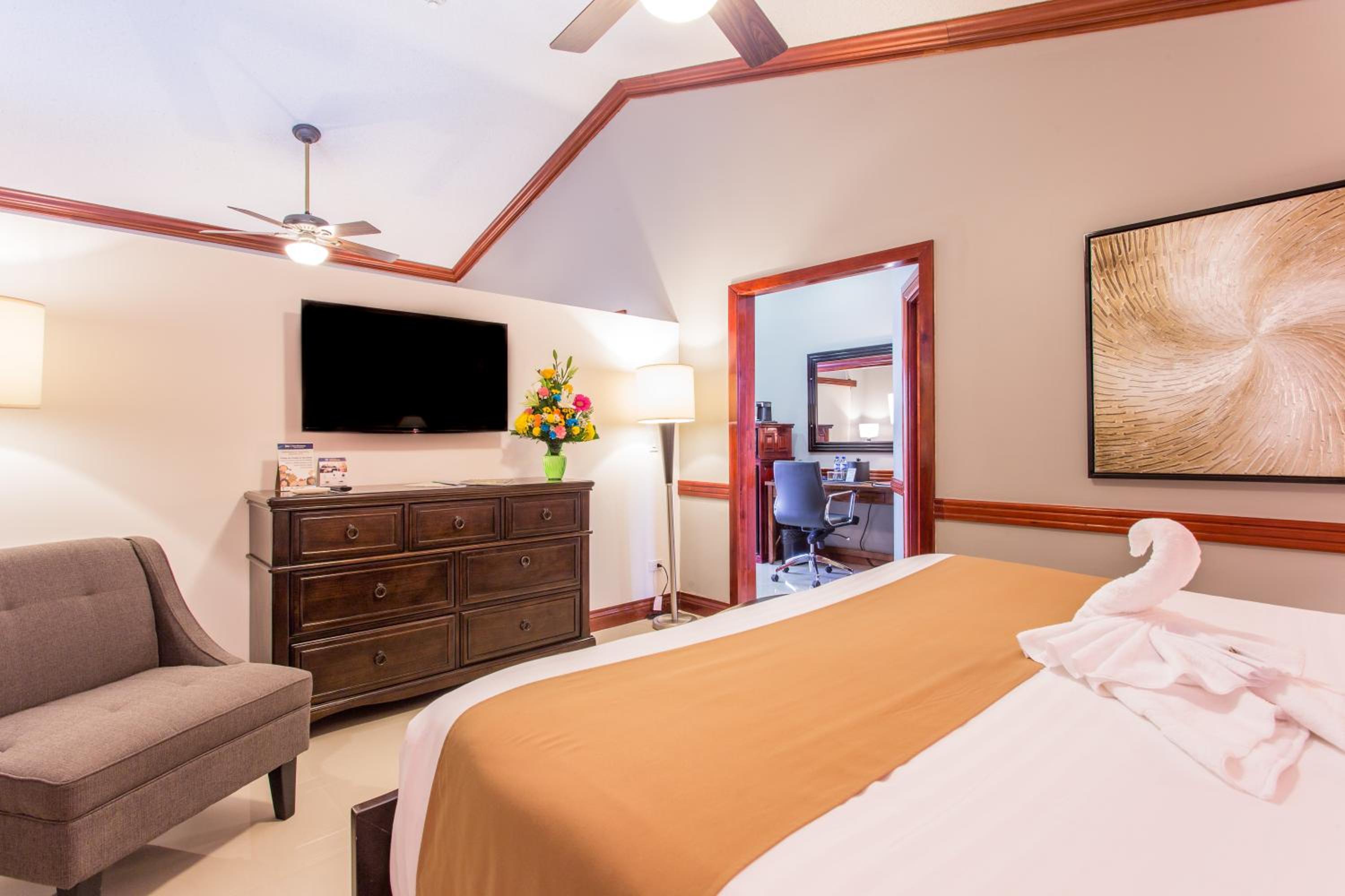 Junior King Suite with Living Room - Non-Smoking - Photo 10