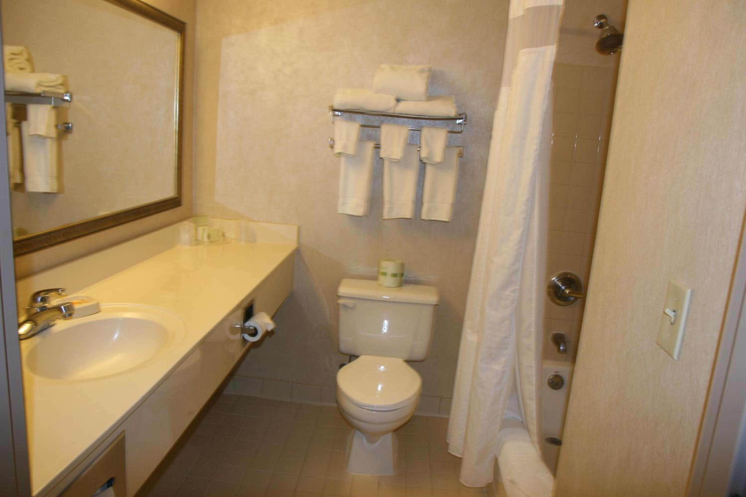 King Suite with Sofa Bed - Non-Smoking - Photo 4