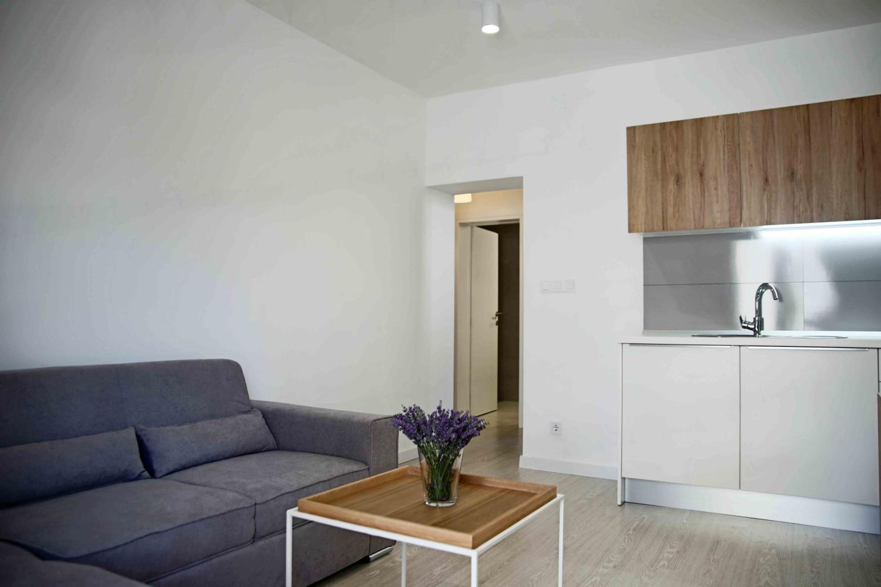 Deluxe Apartment photo 2
