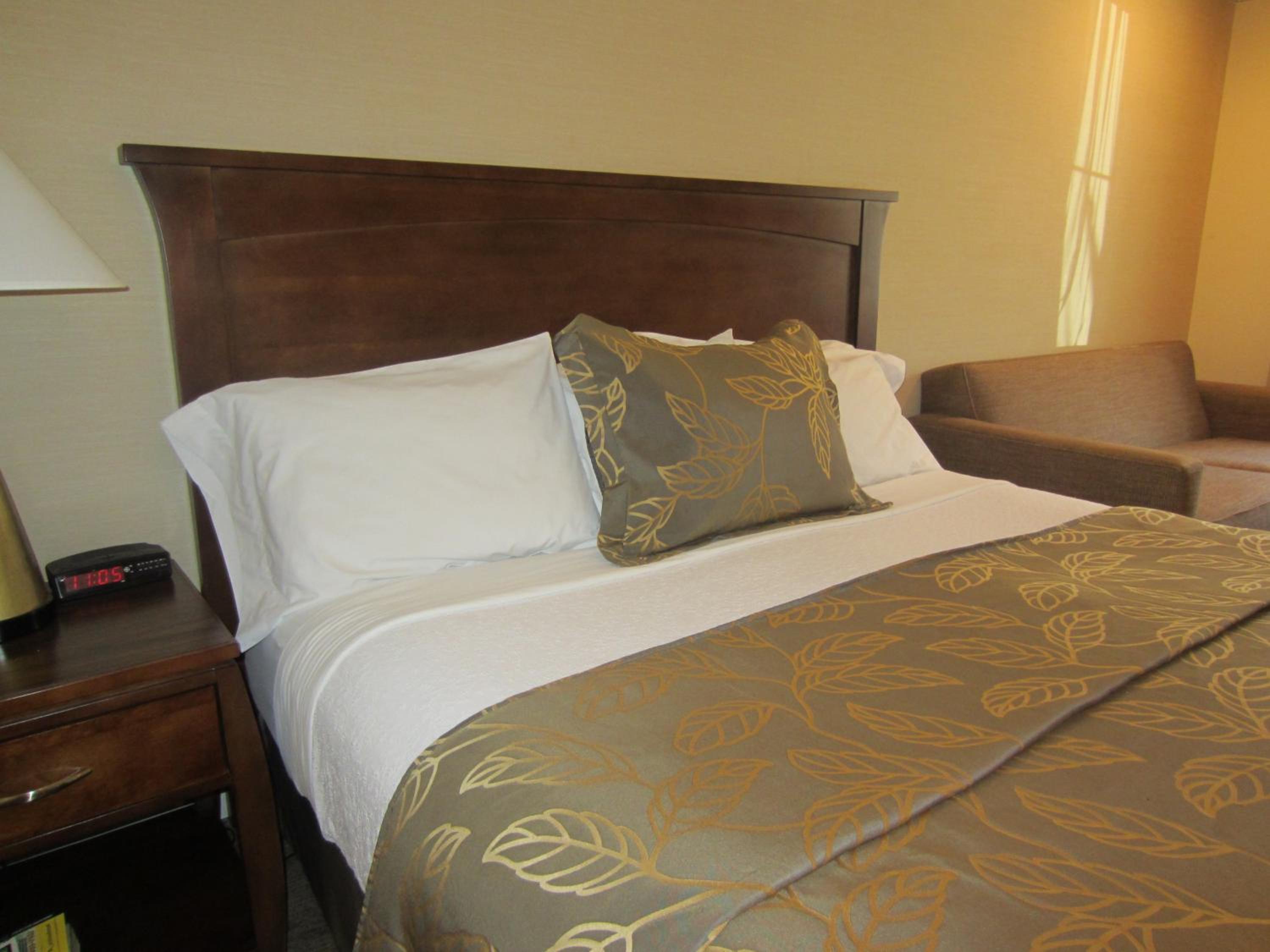 King Room - Photo 3