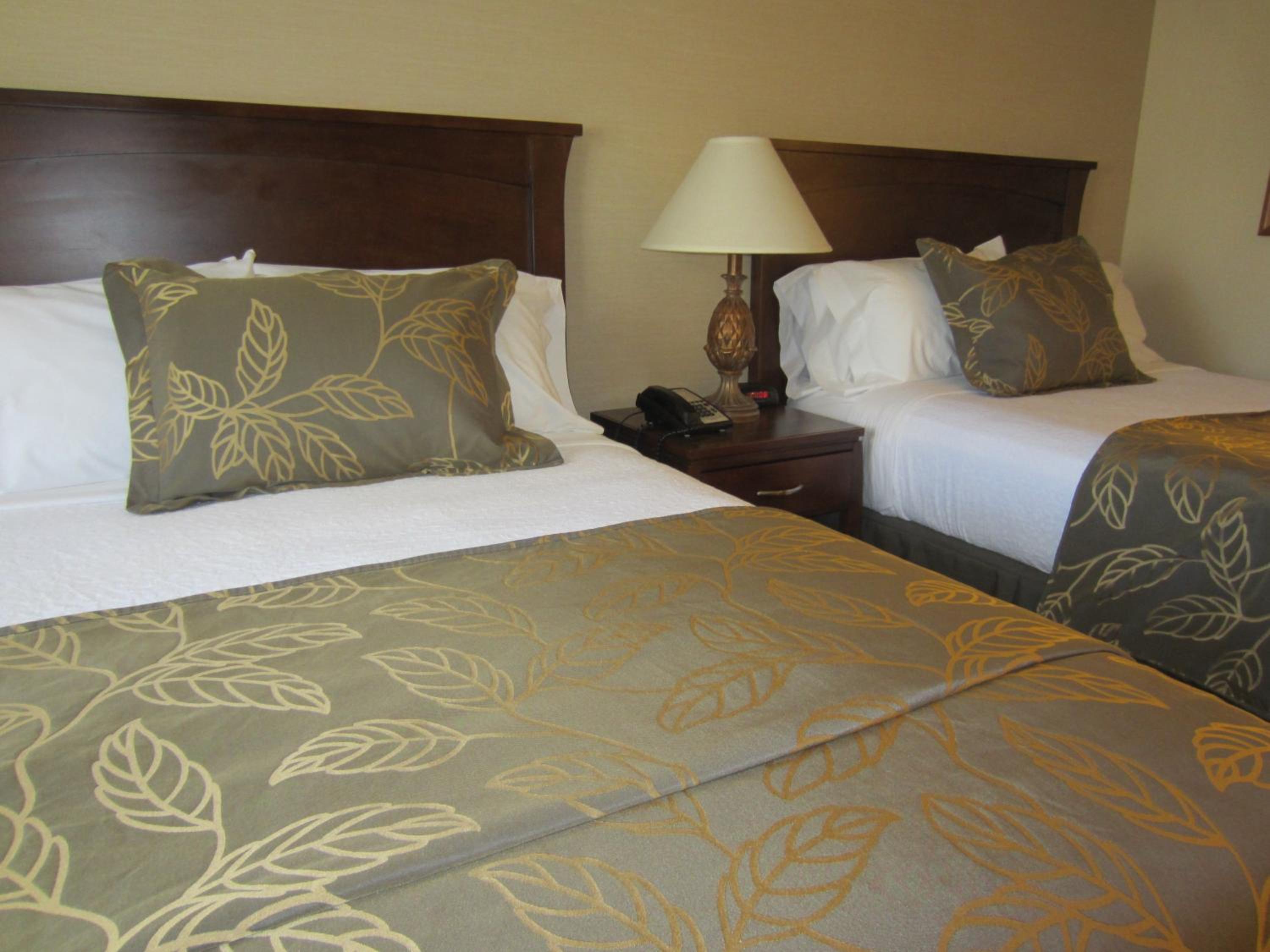 2 Queen Beds, Mobility/Hearing Impaired Accessible Premier Room, Non-Smoking - Photo 6