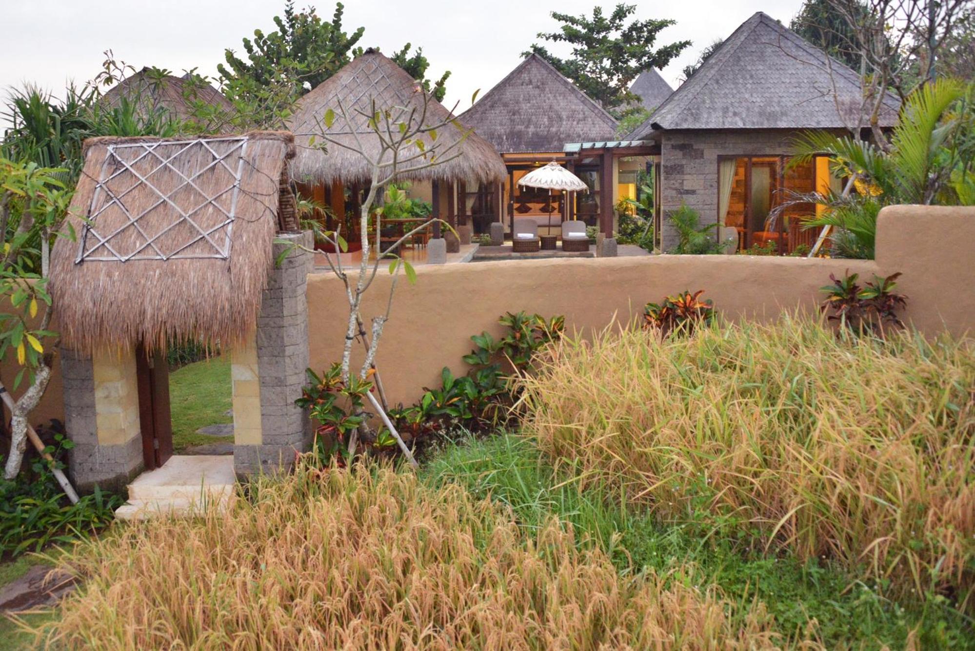 Deluxe Villa Free Shuttle to Canggu - Photo 6