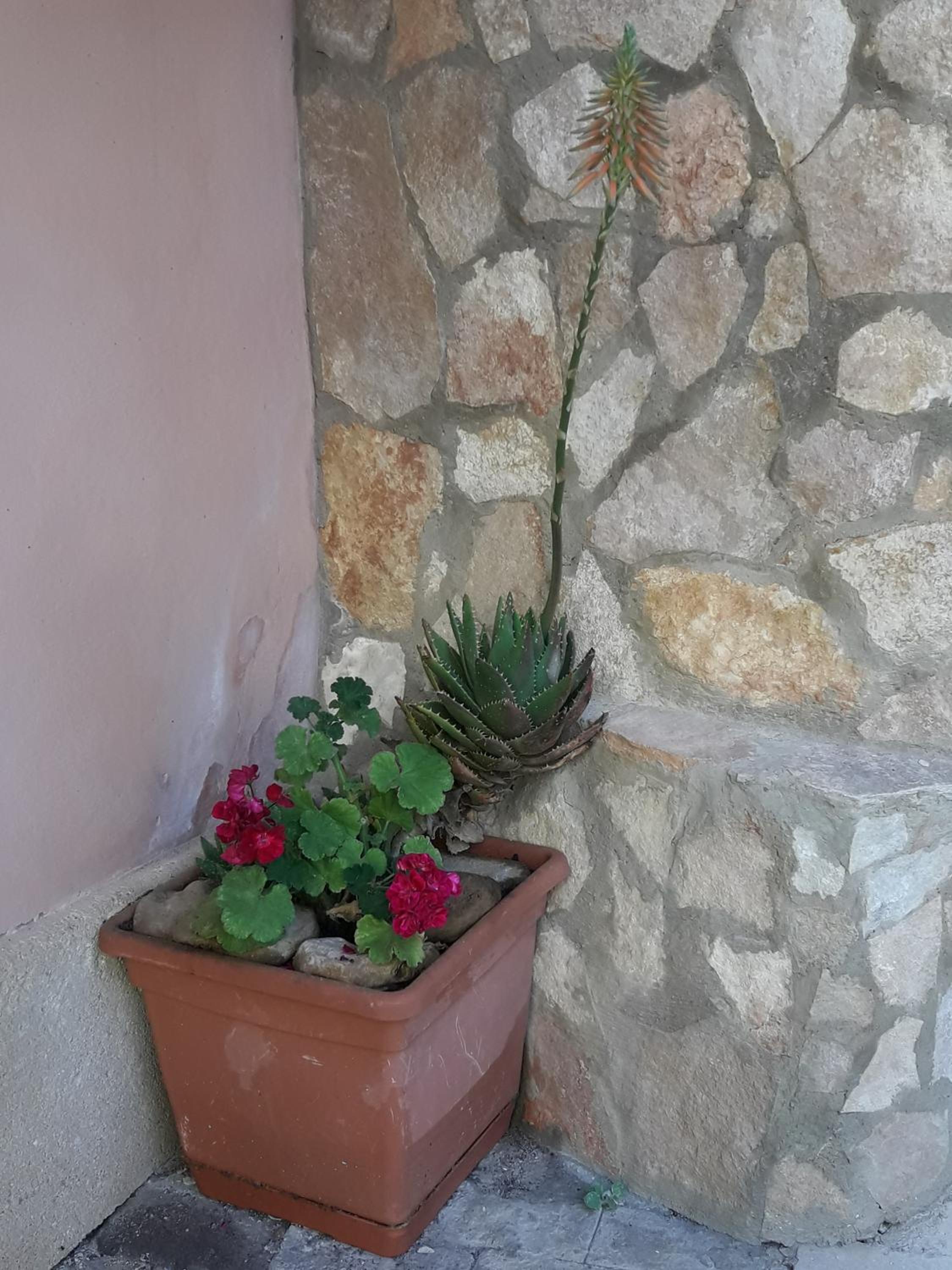 Apartment - Photo 15